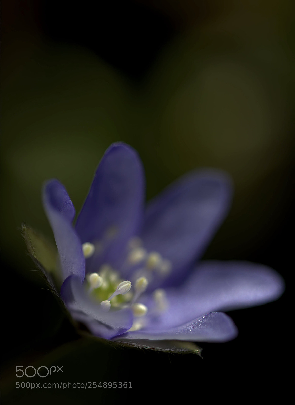 Nikon D7000 sample photo. Sweden. photography