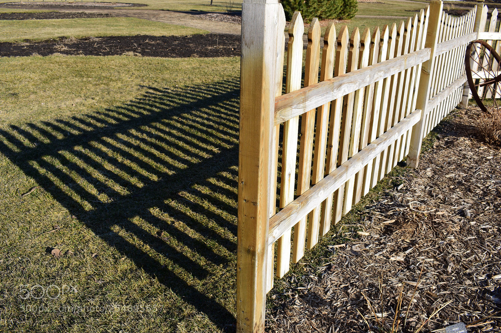 Nikon D3400 sample photo. Shadows photography