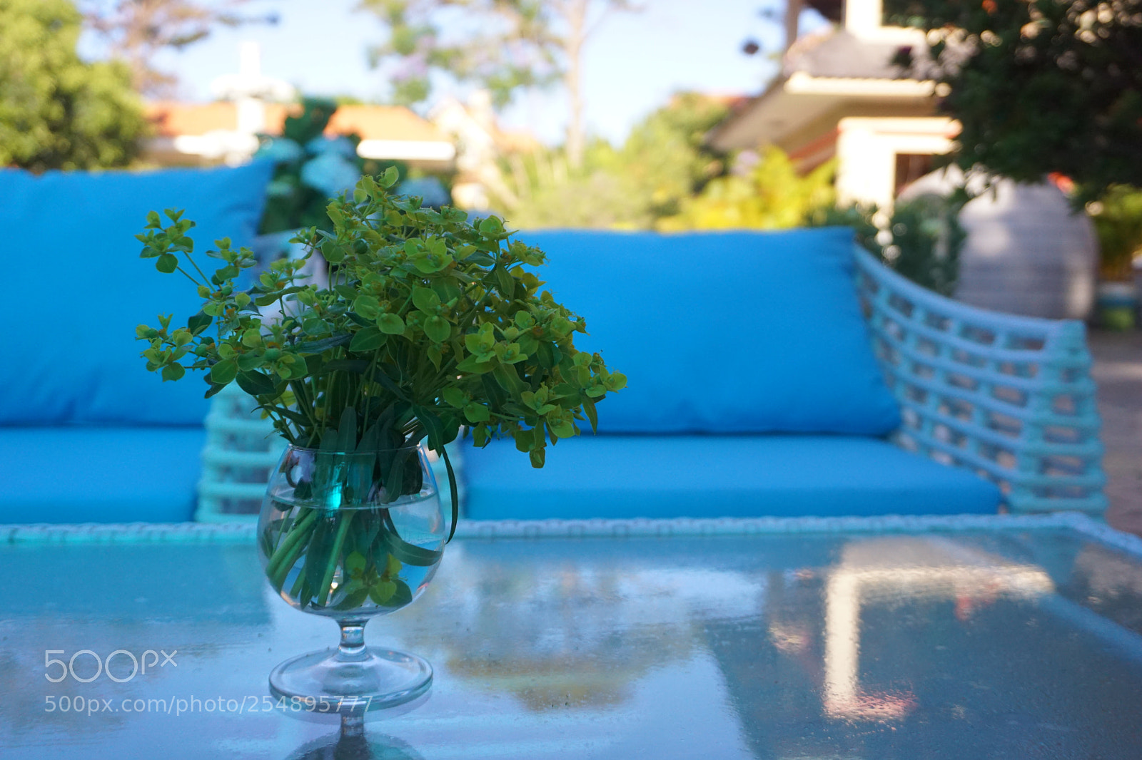 Sony a6000 sample photo. Dsc photography