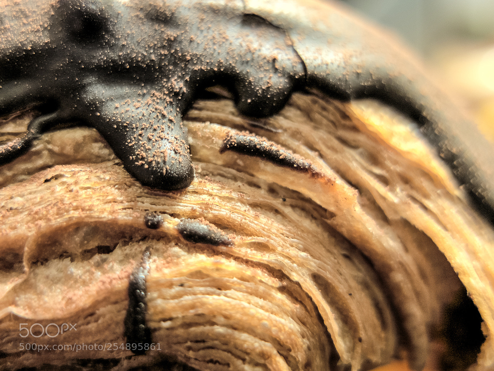 Fujifilm X10 sample photo. Dirty bread. 脏面包 photography