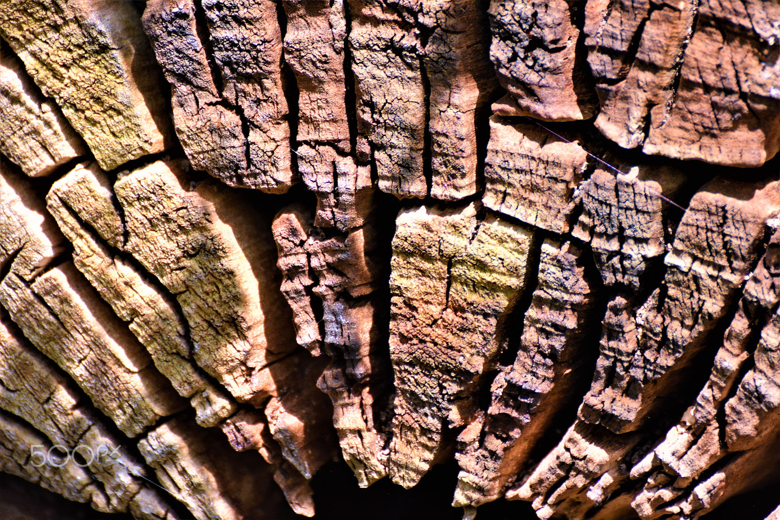Nikon D7200 sample photo. Alt oder kunst? - old or art? photography