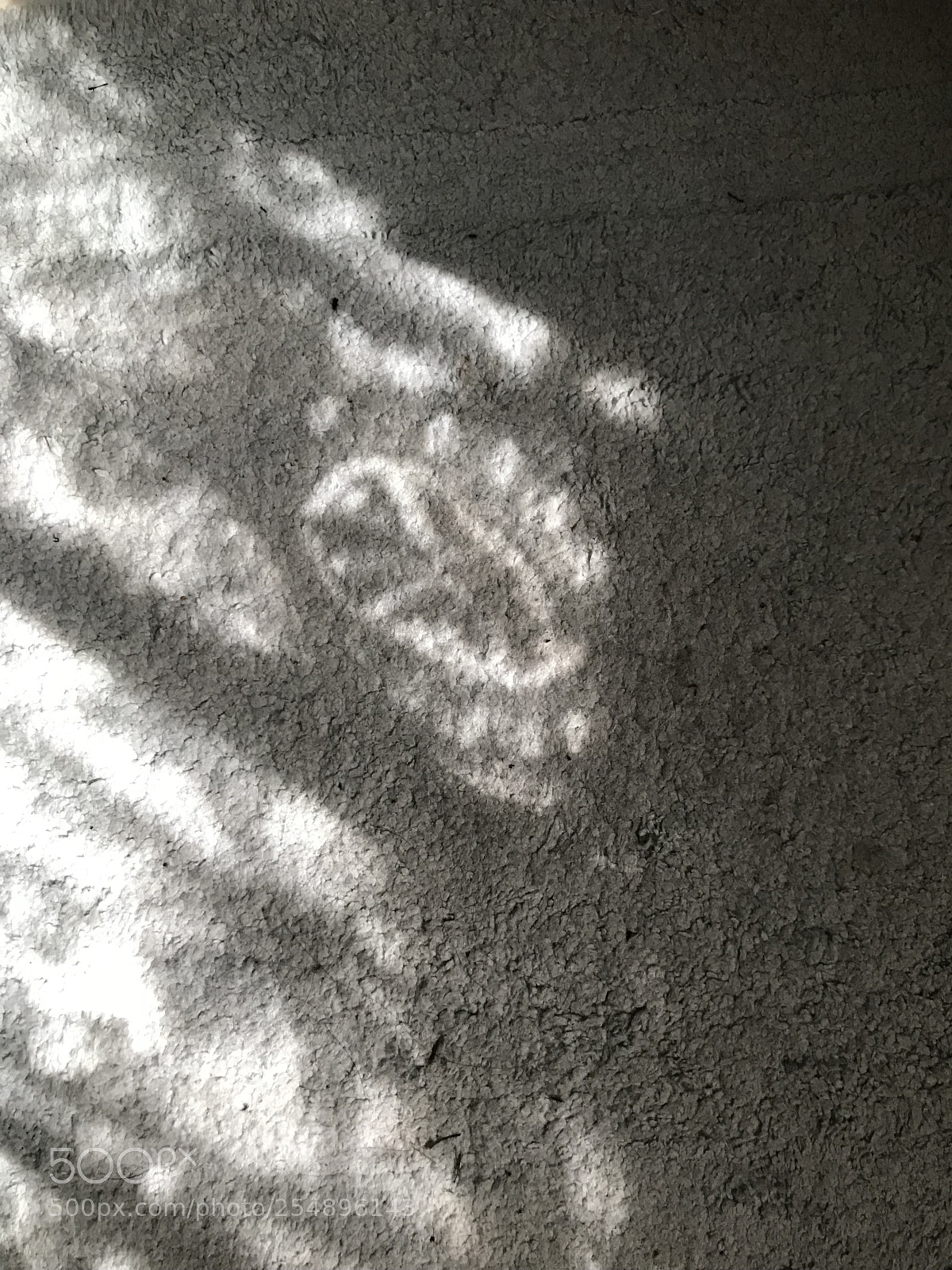 Apple iPhone 7 Plus sample photo. Sun through lace curtain photography