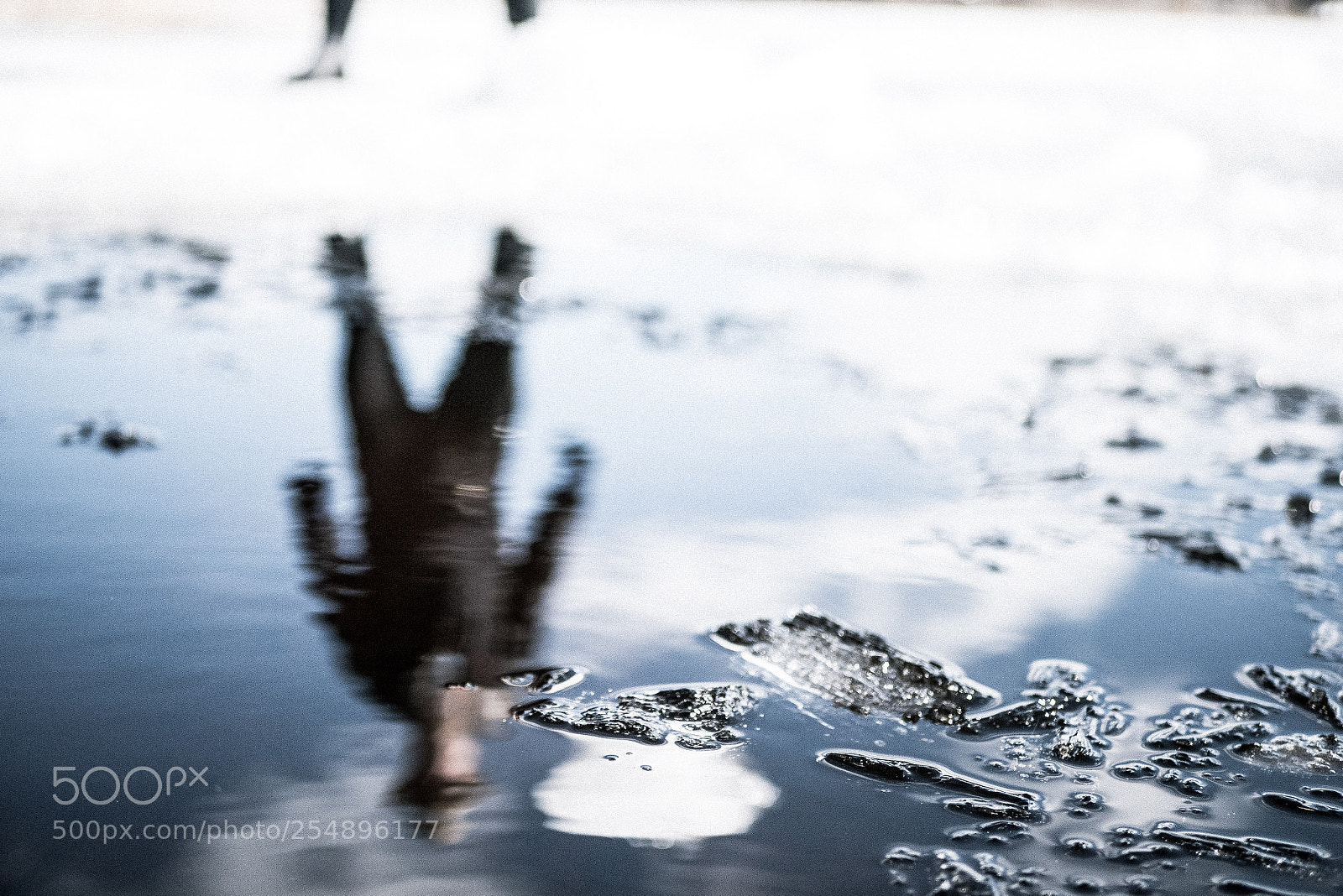 Panasonic Lumix DMC-GX85 (Lumix DMC-GX80 / Lumix DMC-GX7 Mark II) sample photo. Ice man photography