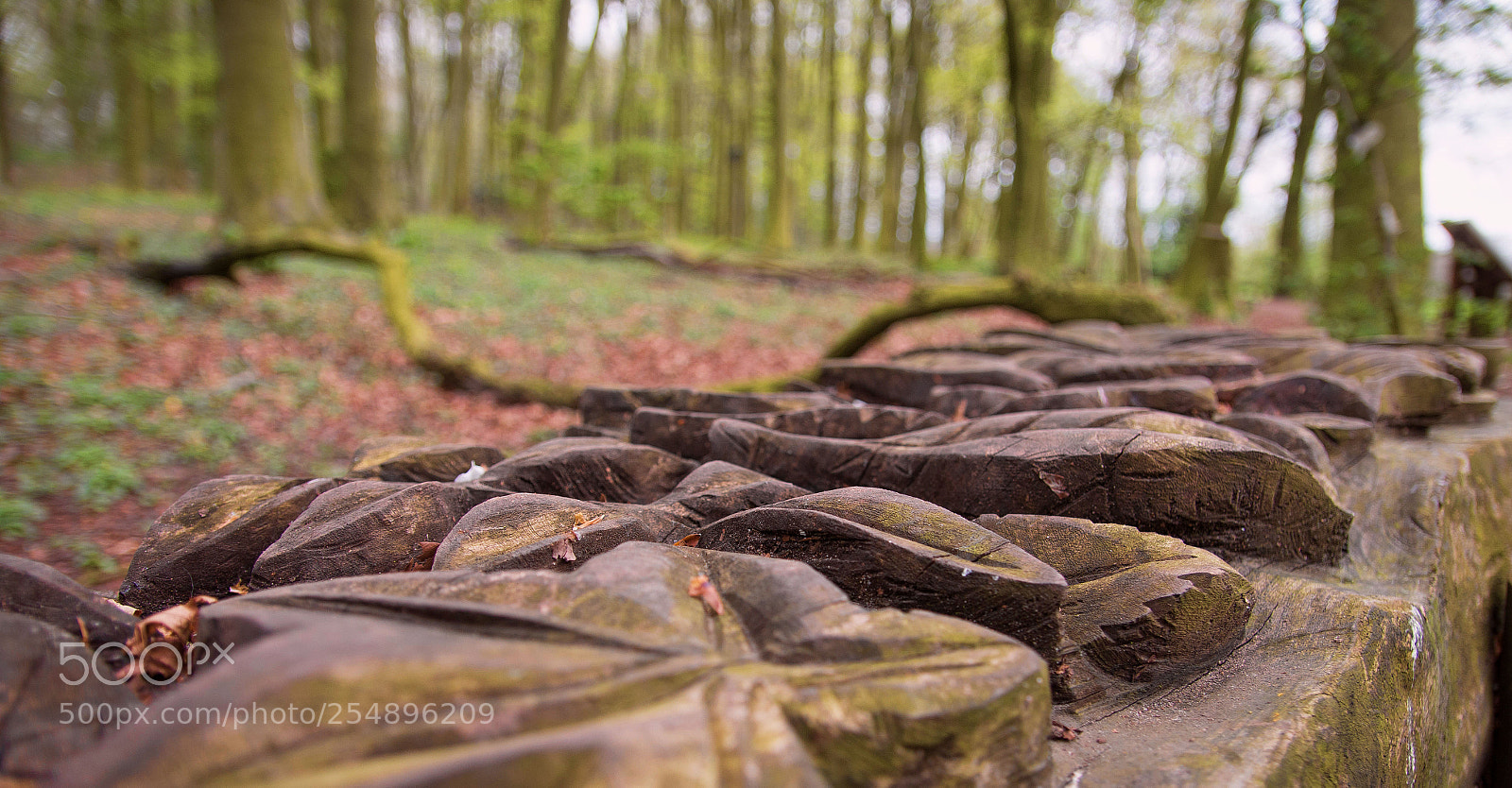 Canon EOS 70D sample photo. Woodcarving photography