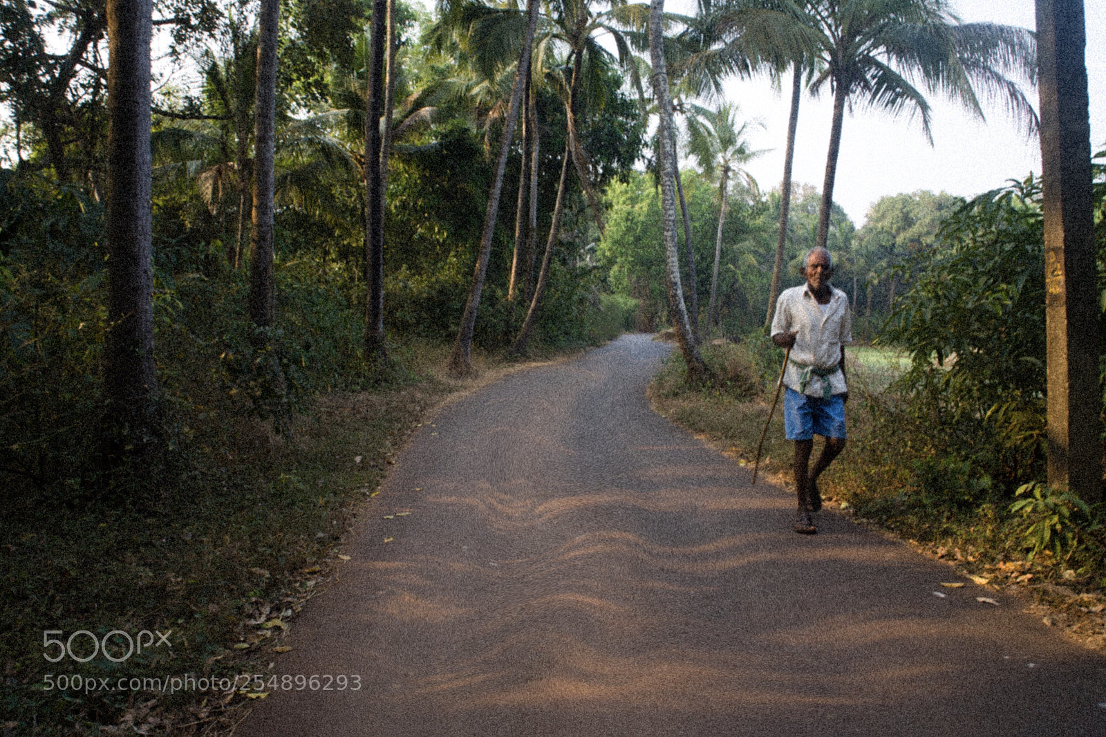Canon EOS 5D sample photo. Old man photography