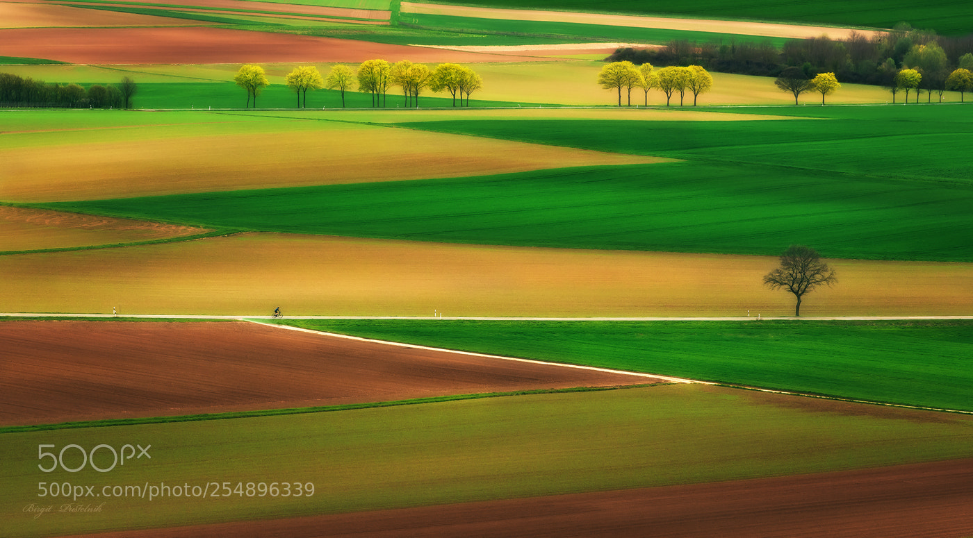 Nikon D7500 sample photo. Fields in spring photography
