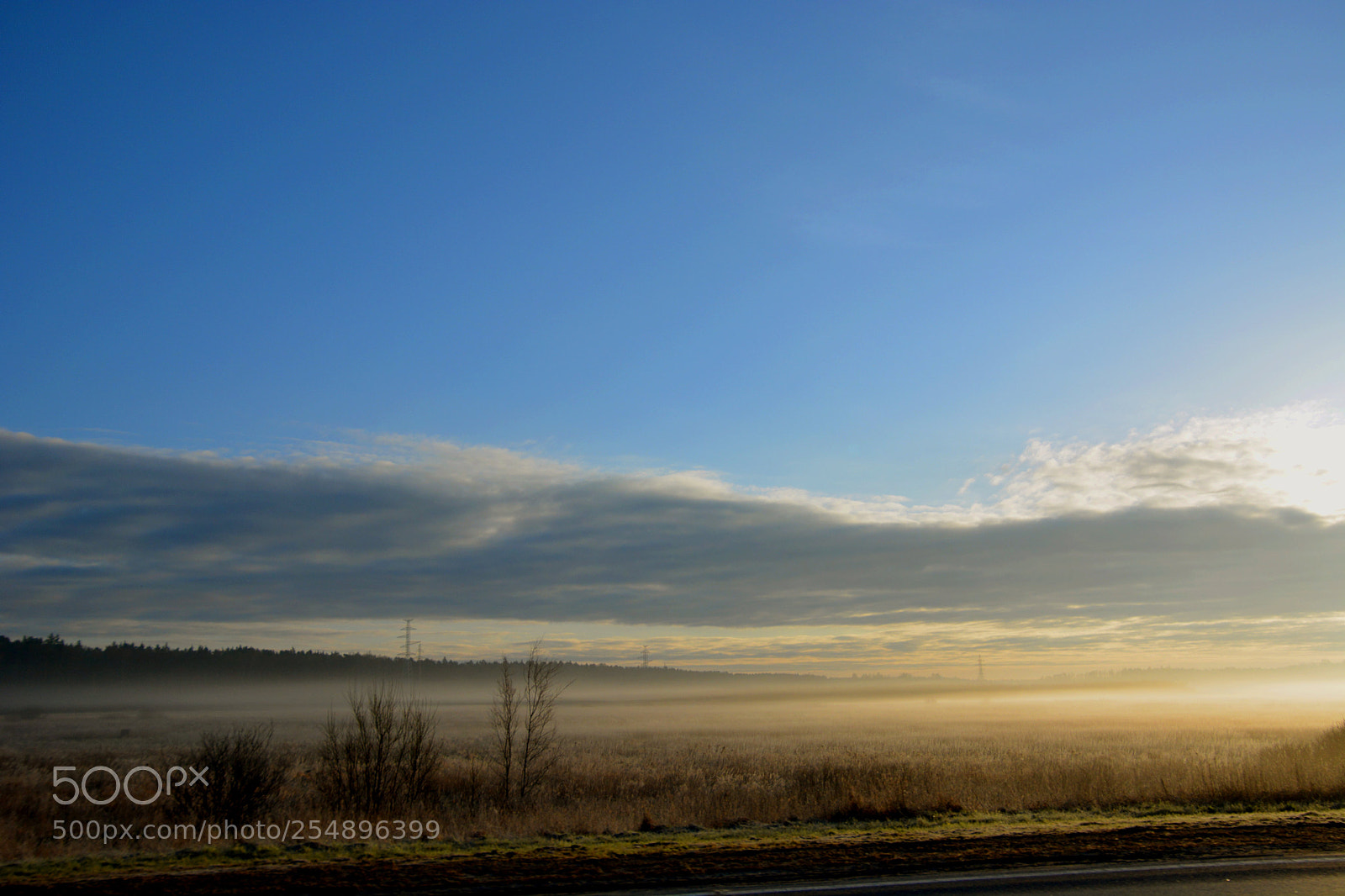 Nikon D5200 sample photo. Morning fog. photography