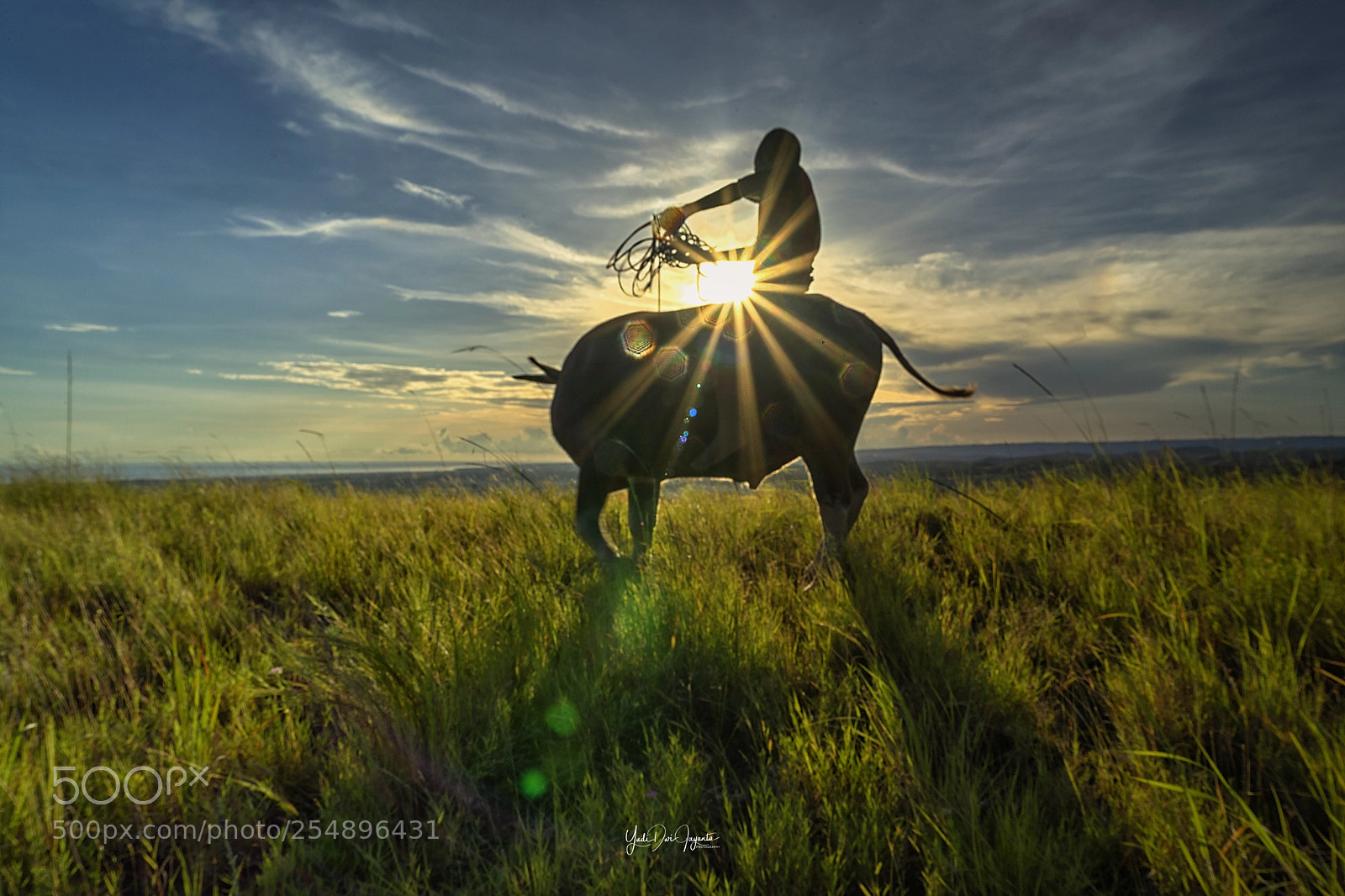 Sony a7 II sample photo. Capturing sun photography