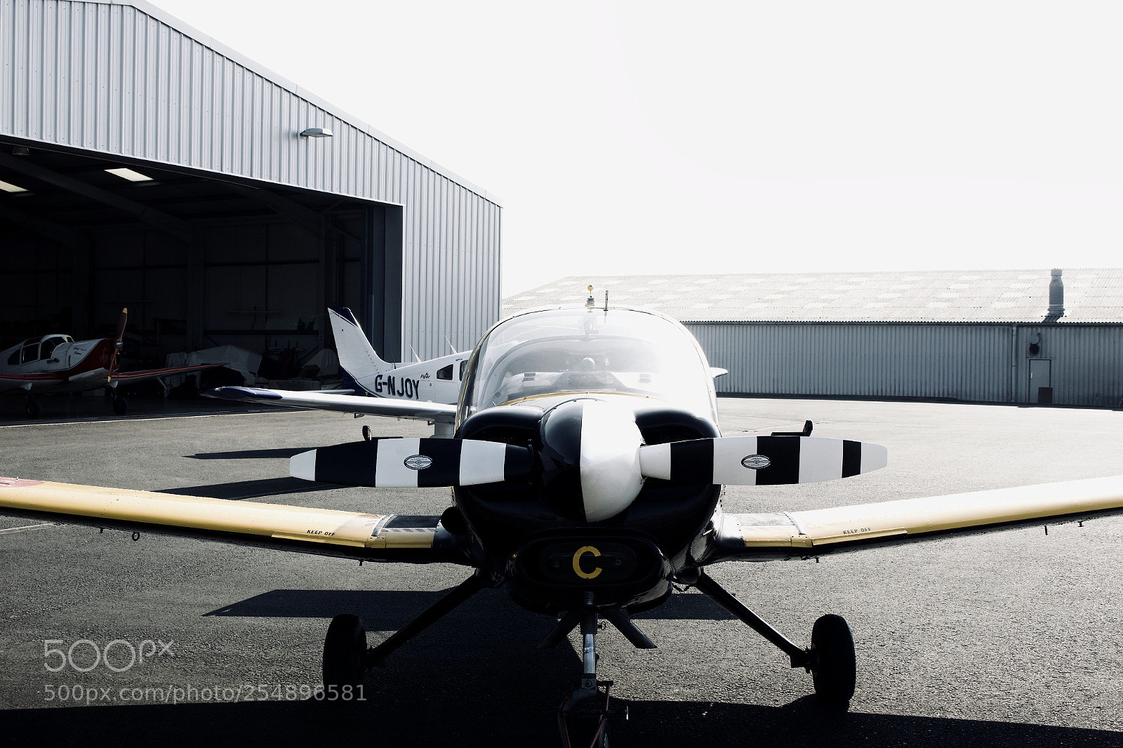 Canon EOS 70D sample photo. 'njoy the flight photography