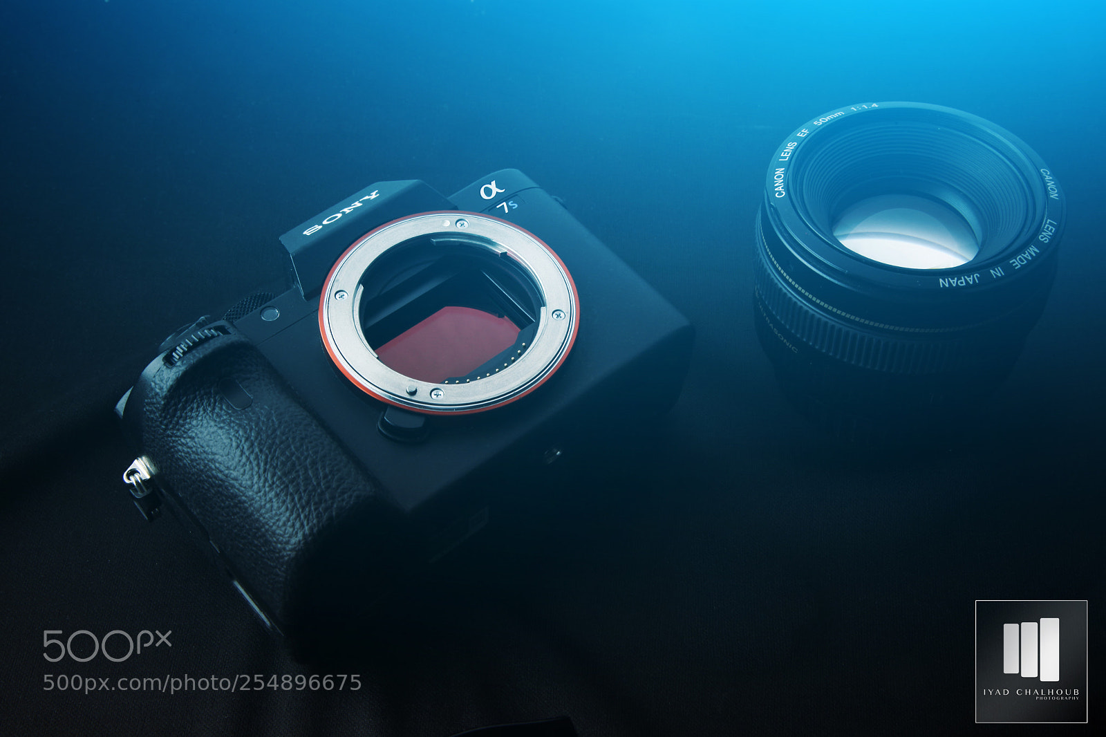 Canon EOS 5D Mark II sample photo. Sony7s with lens photography