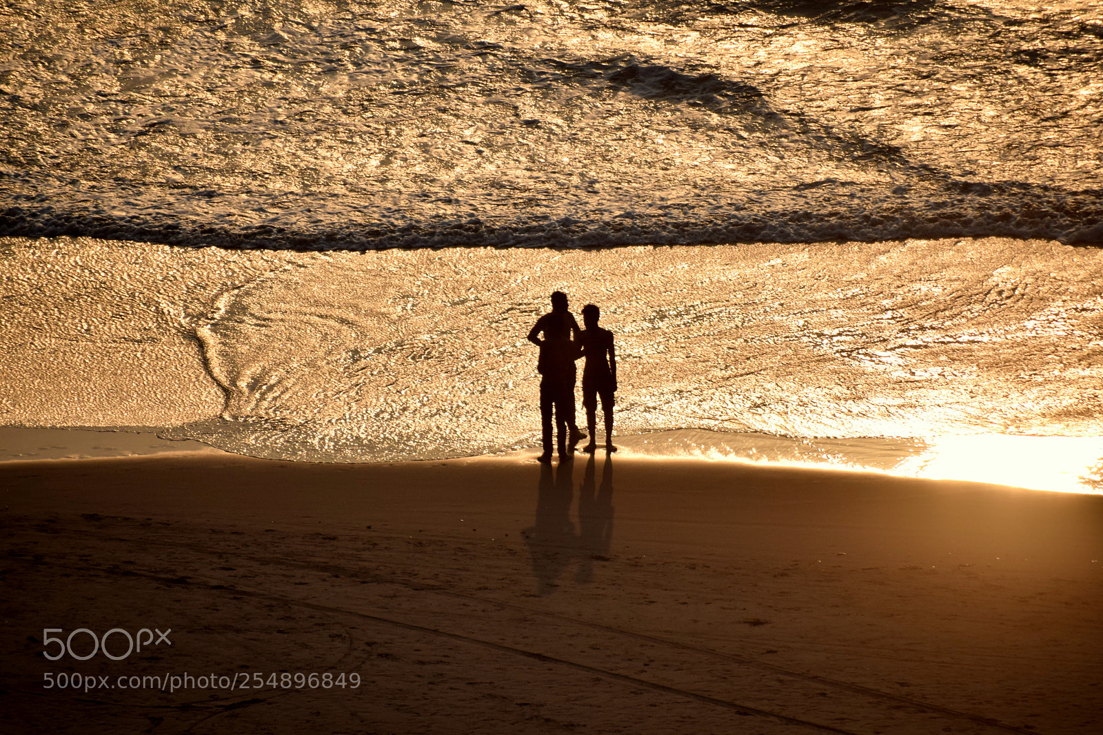 Nikon D3300 sample photo. Golden hour photography