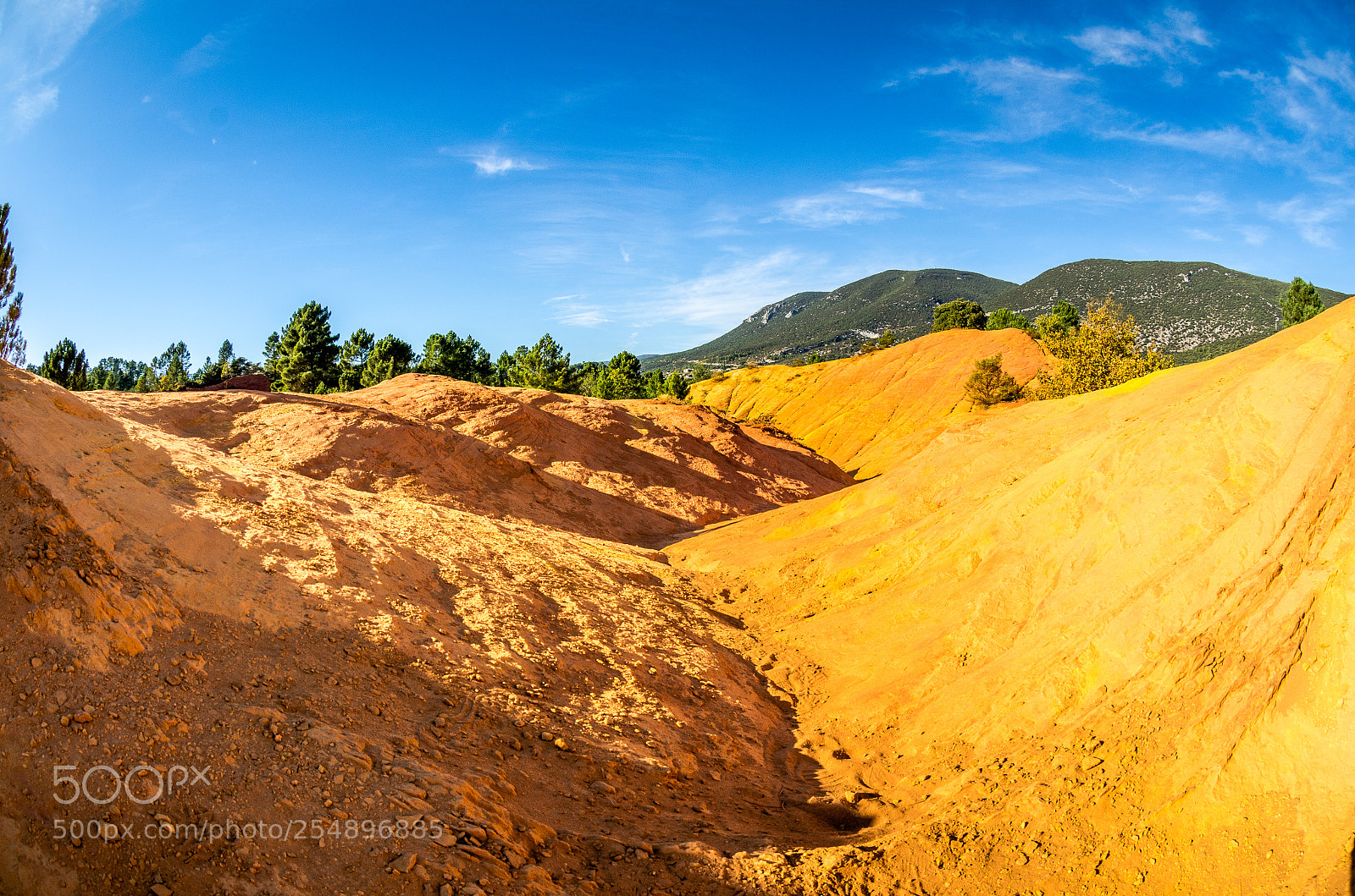 Nikon D7000 sample photo. Colorado provencal photography