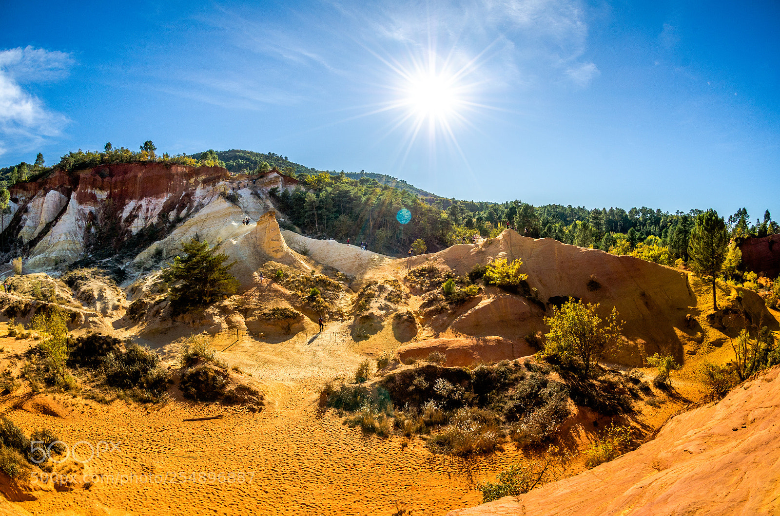 Nikon D7000 sample photo. Colorado provencal photography