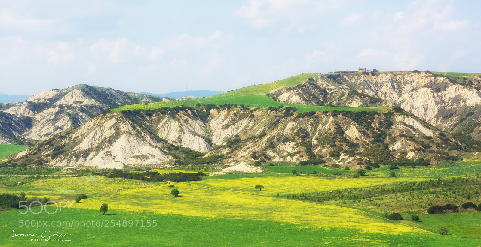 Nikon D7100 sample photo. Painted by nature photography