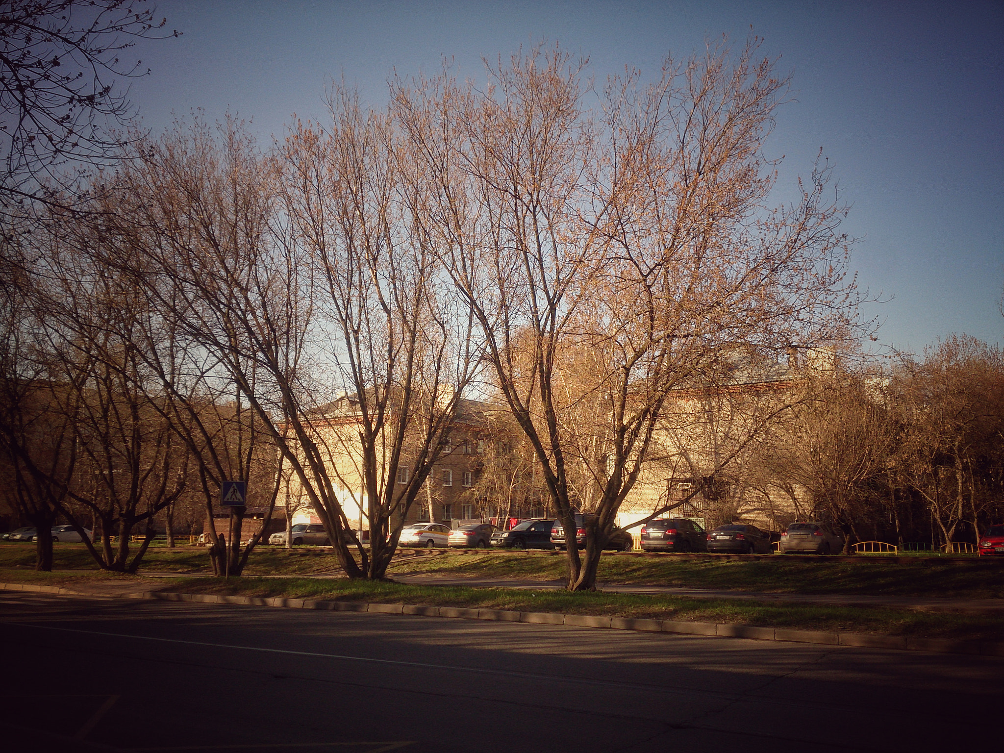 Sony Xperia ZR sample photo. Весна в Курьяново  photography