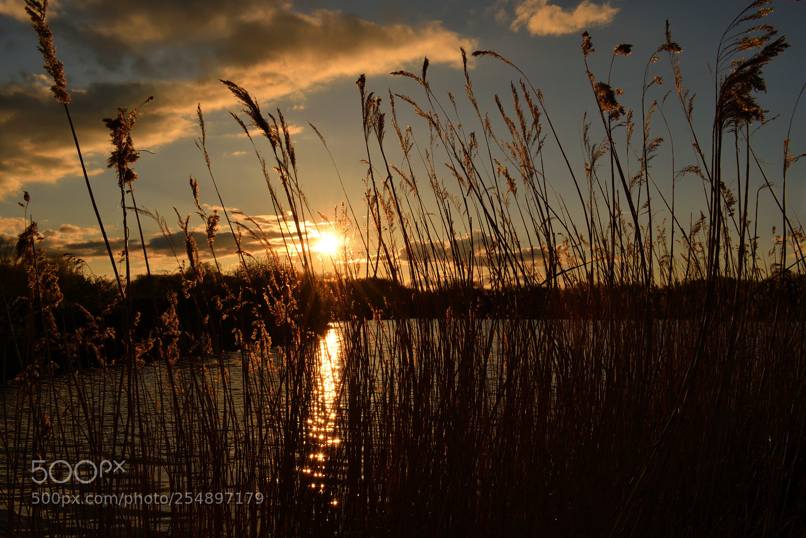 Nikon D3300 sample photo. Lake at dusk photography