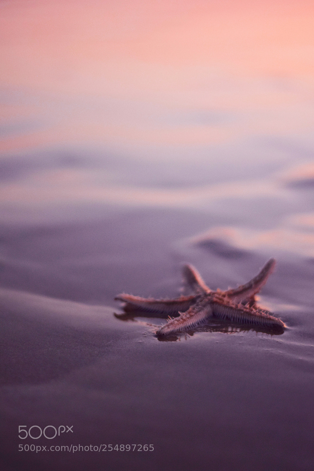 Nikon D3300 sample photo. Star photography