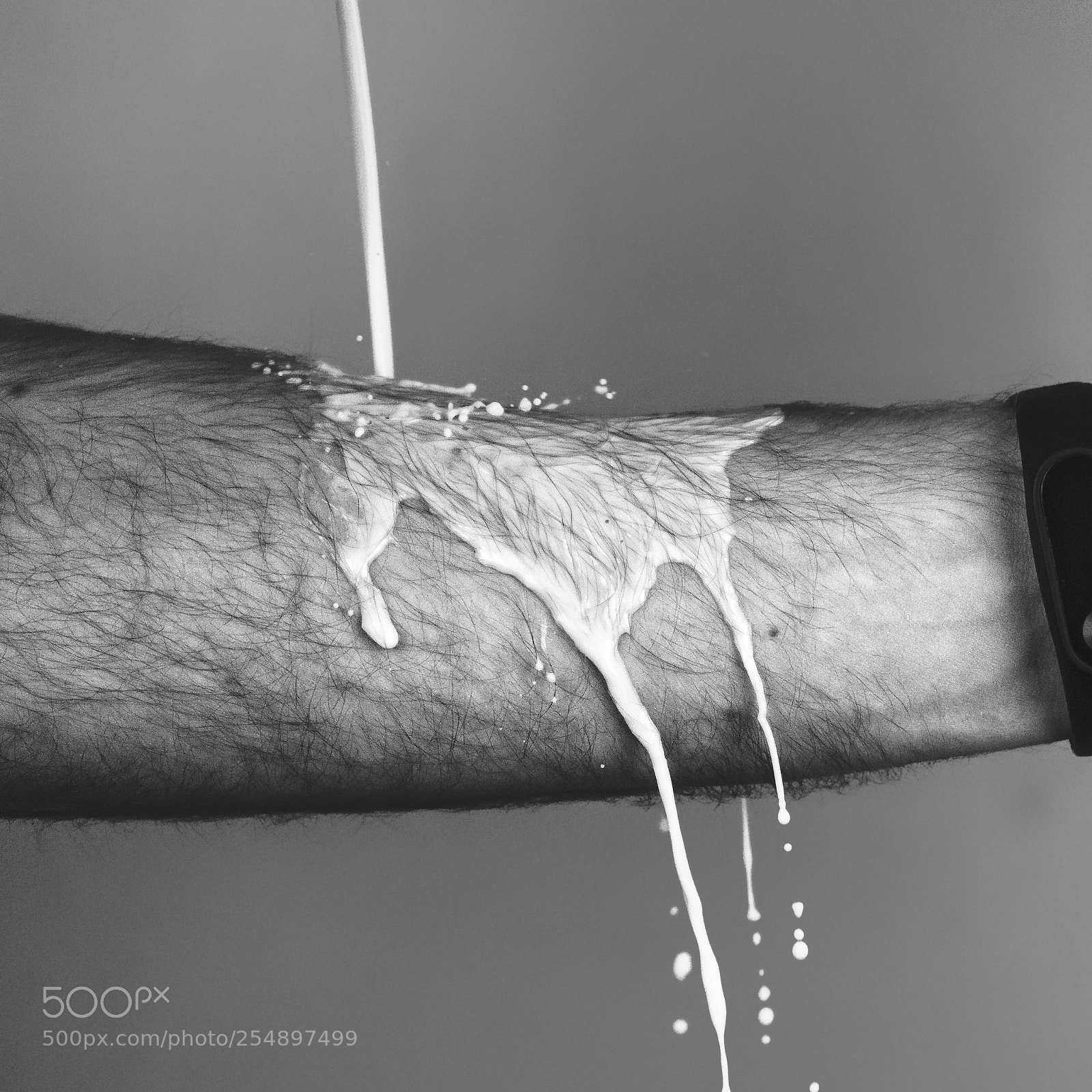 Sony a7 II sample photo. Milk day photography