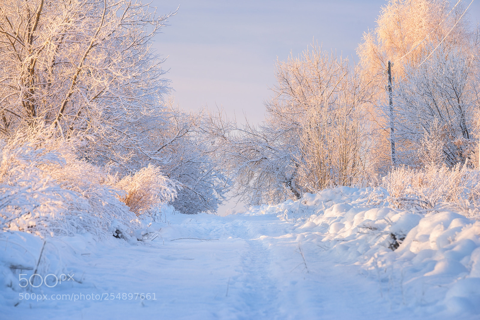 Nikon D610 sample photo. 906. winter in the photography