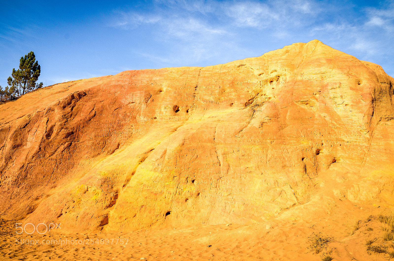 Nikon D7000 sample photo. Colorado provencal photography