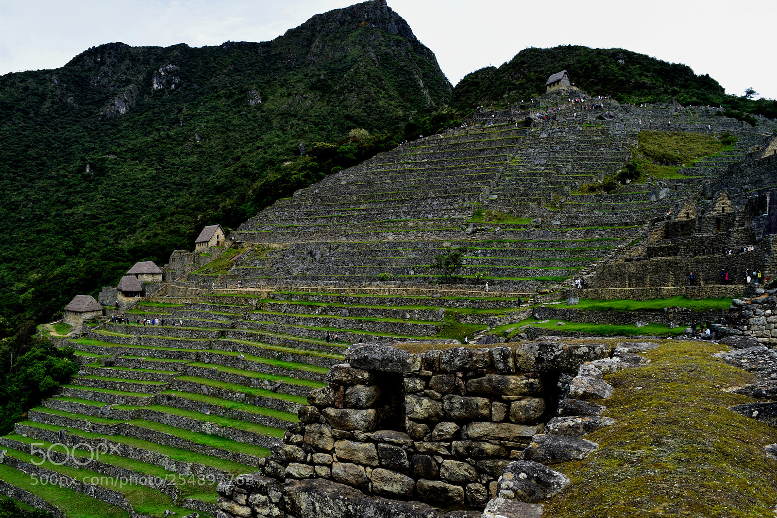 Nikon D3300 sample photo. Machu picchu terraces photography