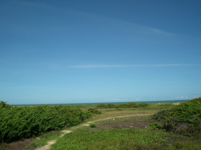 CASIO EX-Z5 sample photo. Cimg photography