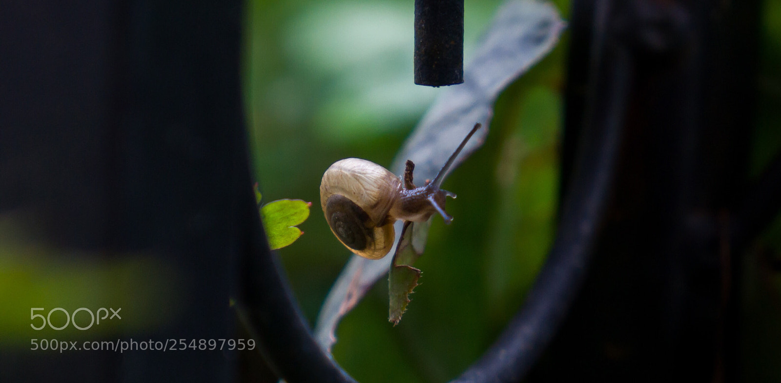 Sony Alpha NEX-7 sample photo. Untitled photography
