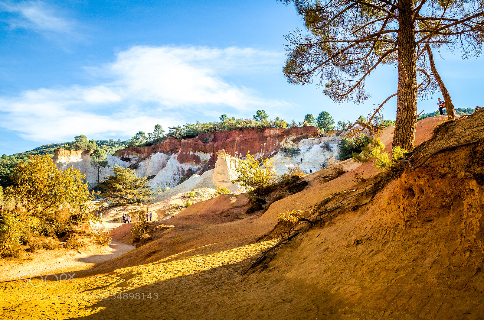Nikon D7000 sample photo. Colorado provencal photography