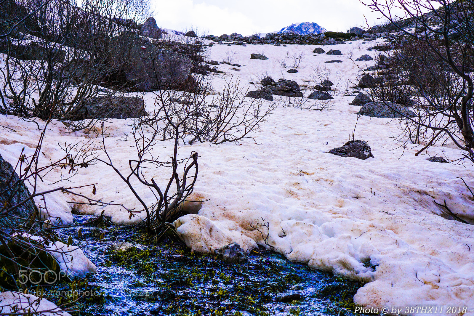 Sony a6000 sample photo. A winter's end photography