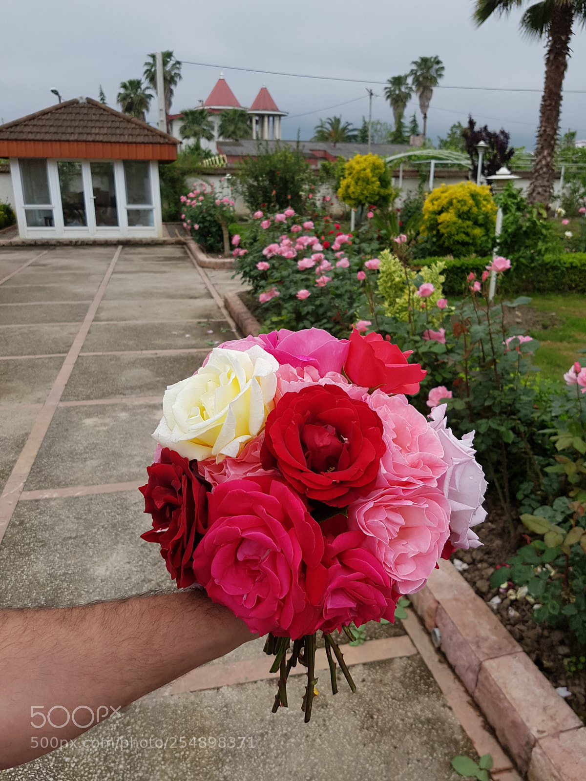 Samsung Galaxy S7 Edge sample photo. Home photography