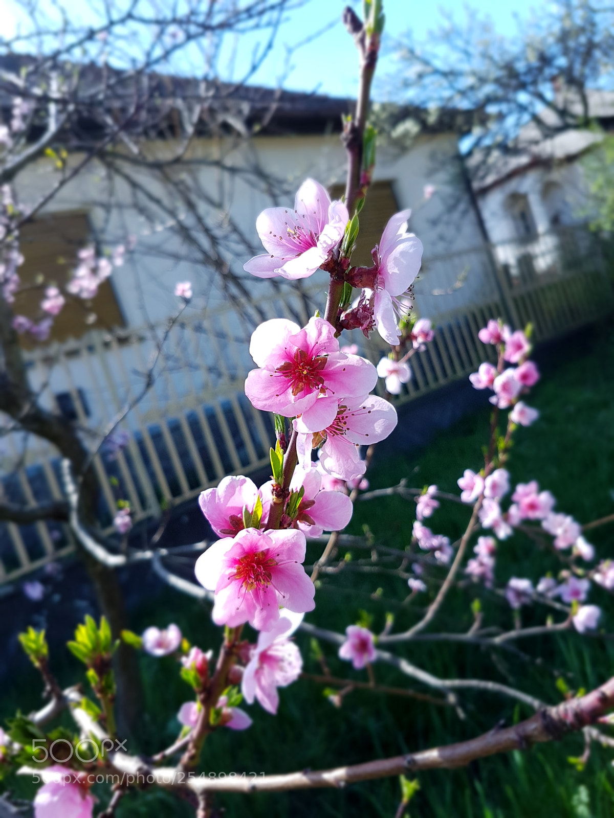 Samsung Galaxy S7 sample photo. Untitled photography