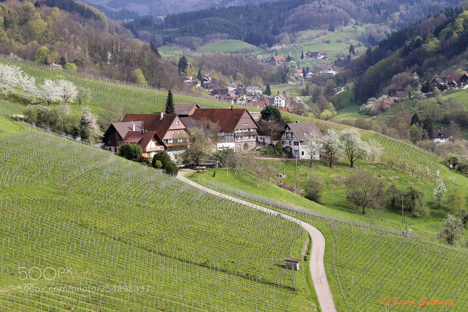 Canon EOS 70D sample photo. Vignes photography