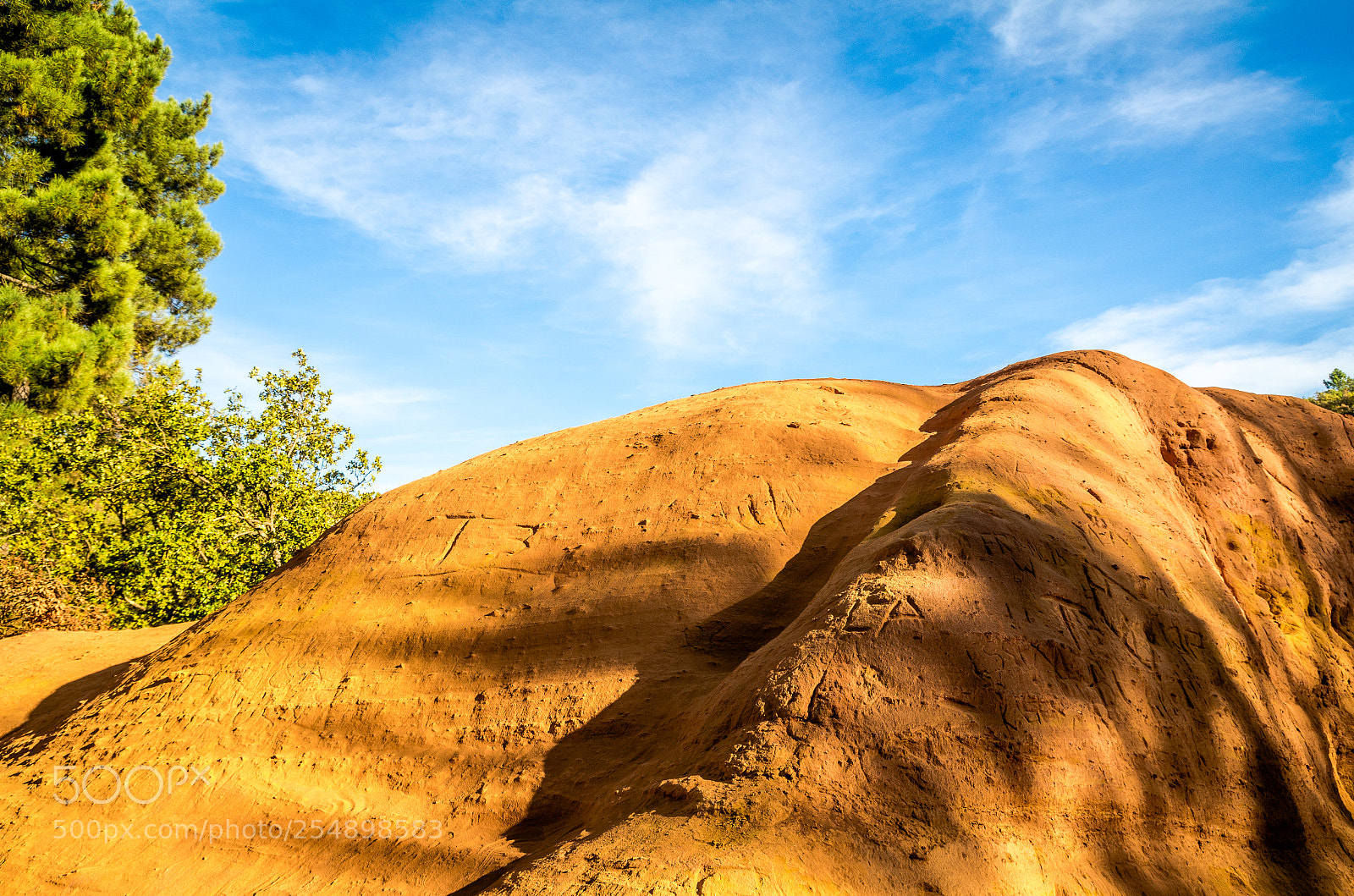 Nikon D7000 sample photo. Colorado provencal photography