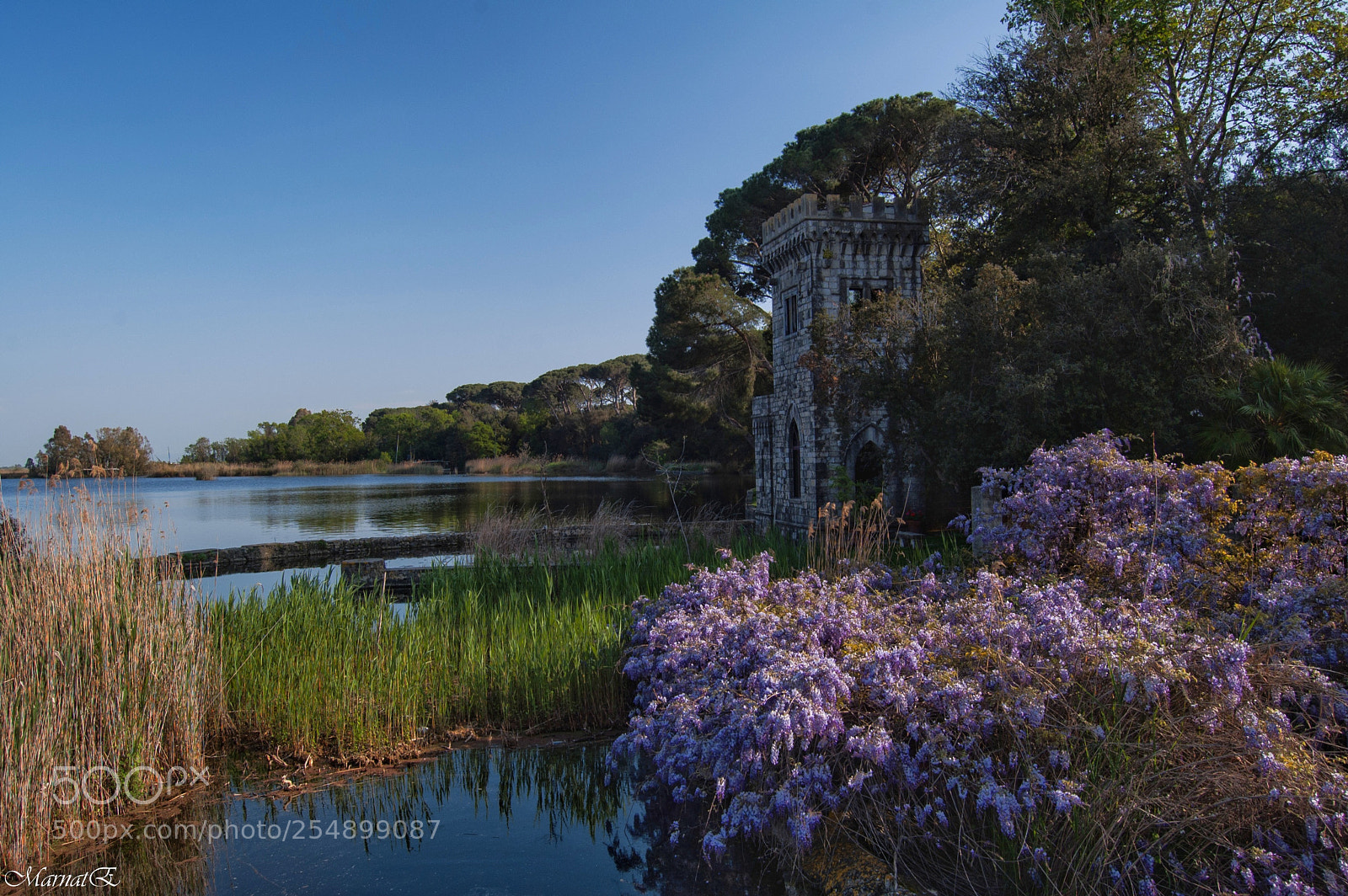 Nikon D50 sample photo. Bello e poetico..lago di photography