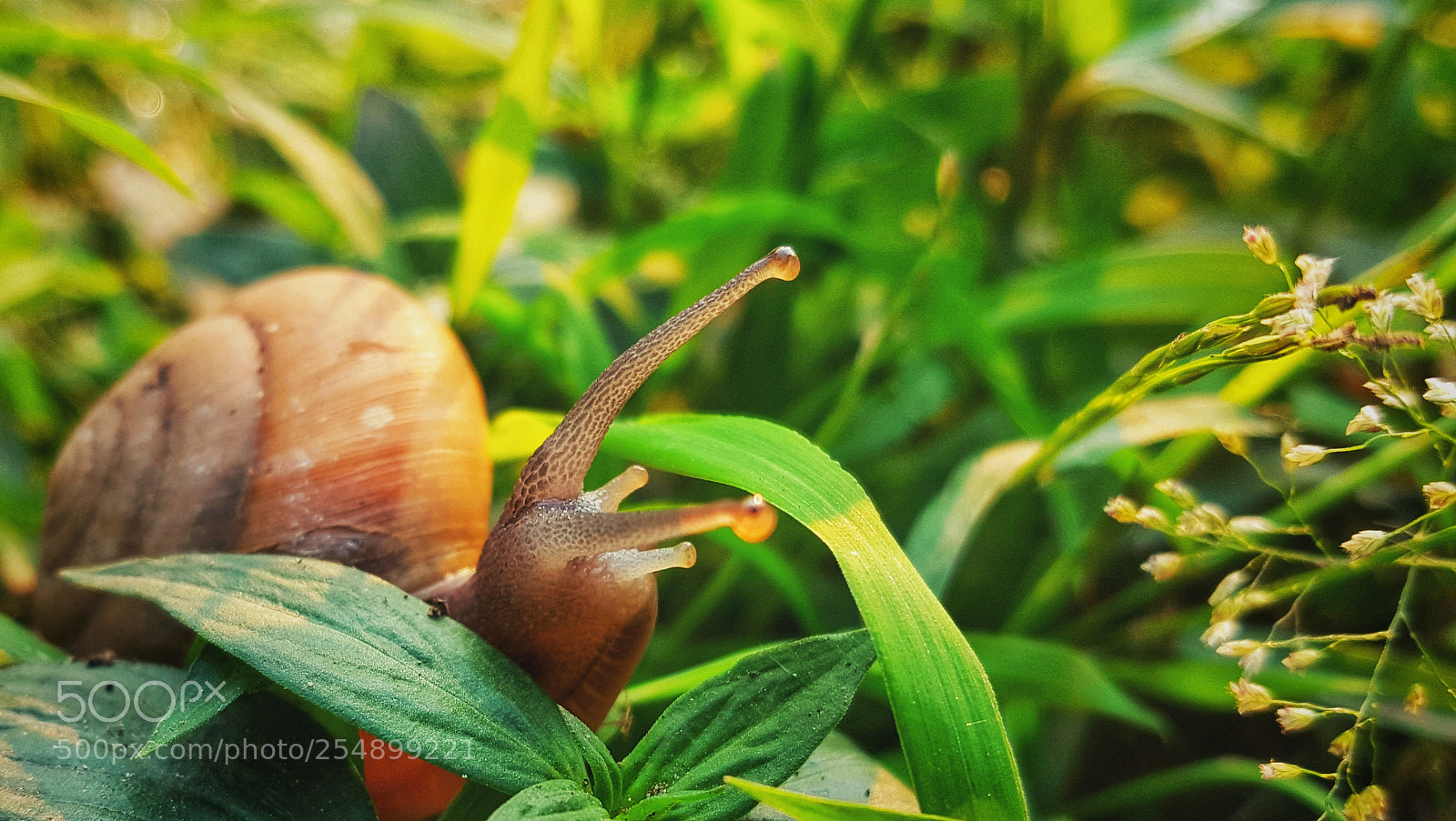 Samsung Galaxy Note5 sample photo. Untitled photography