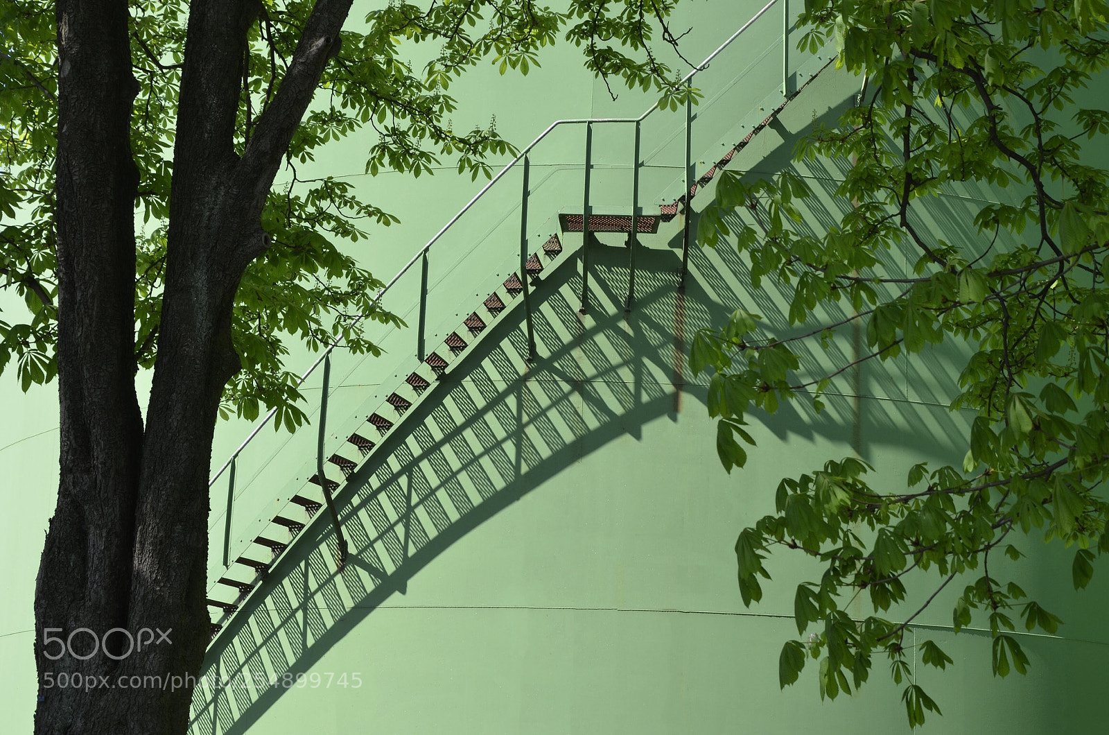 Nikon D7000 sample photo. Green photography