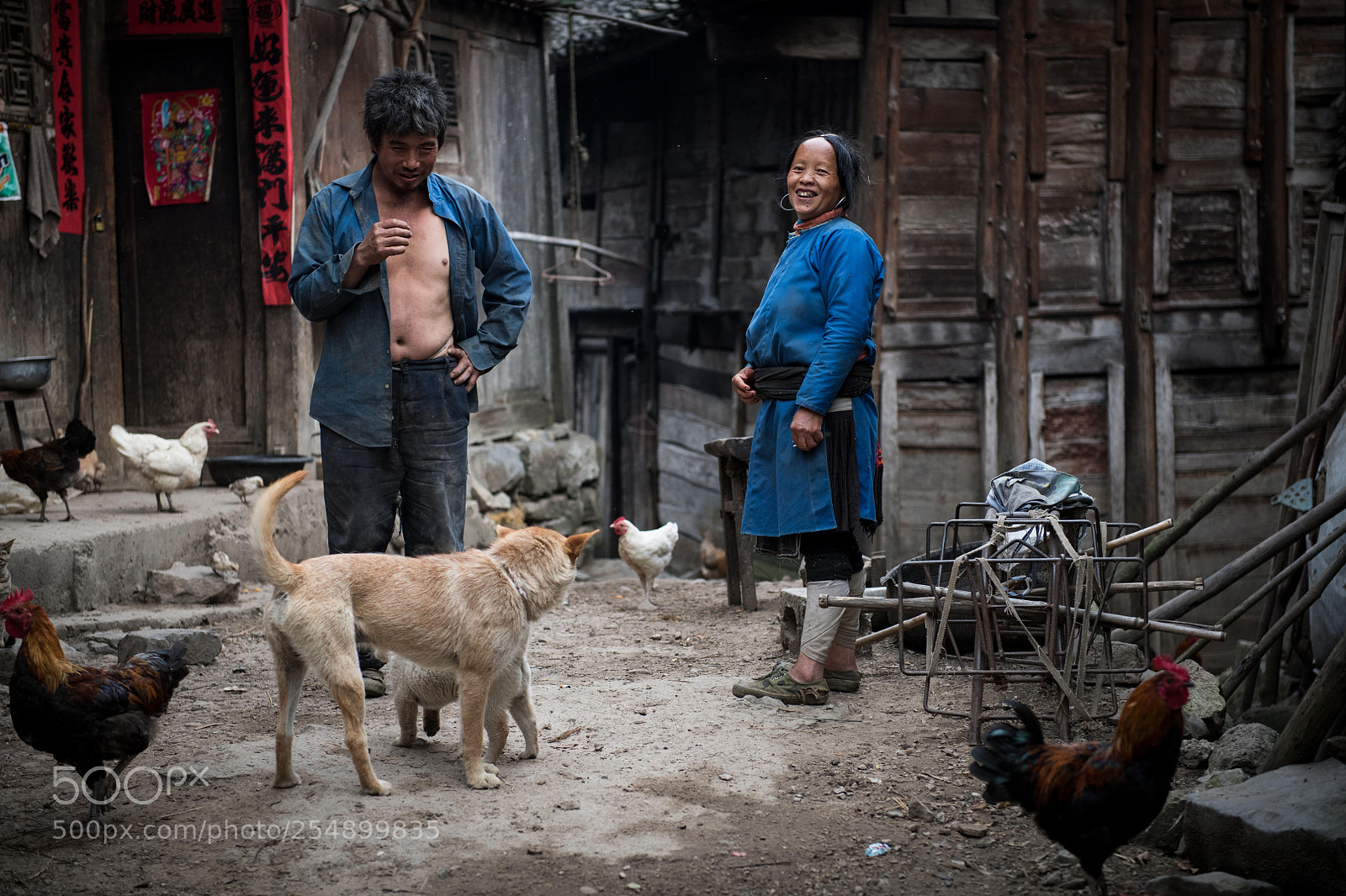 Nikon D850 sample photo. 鸡场村民 photography