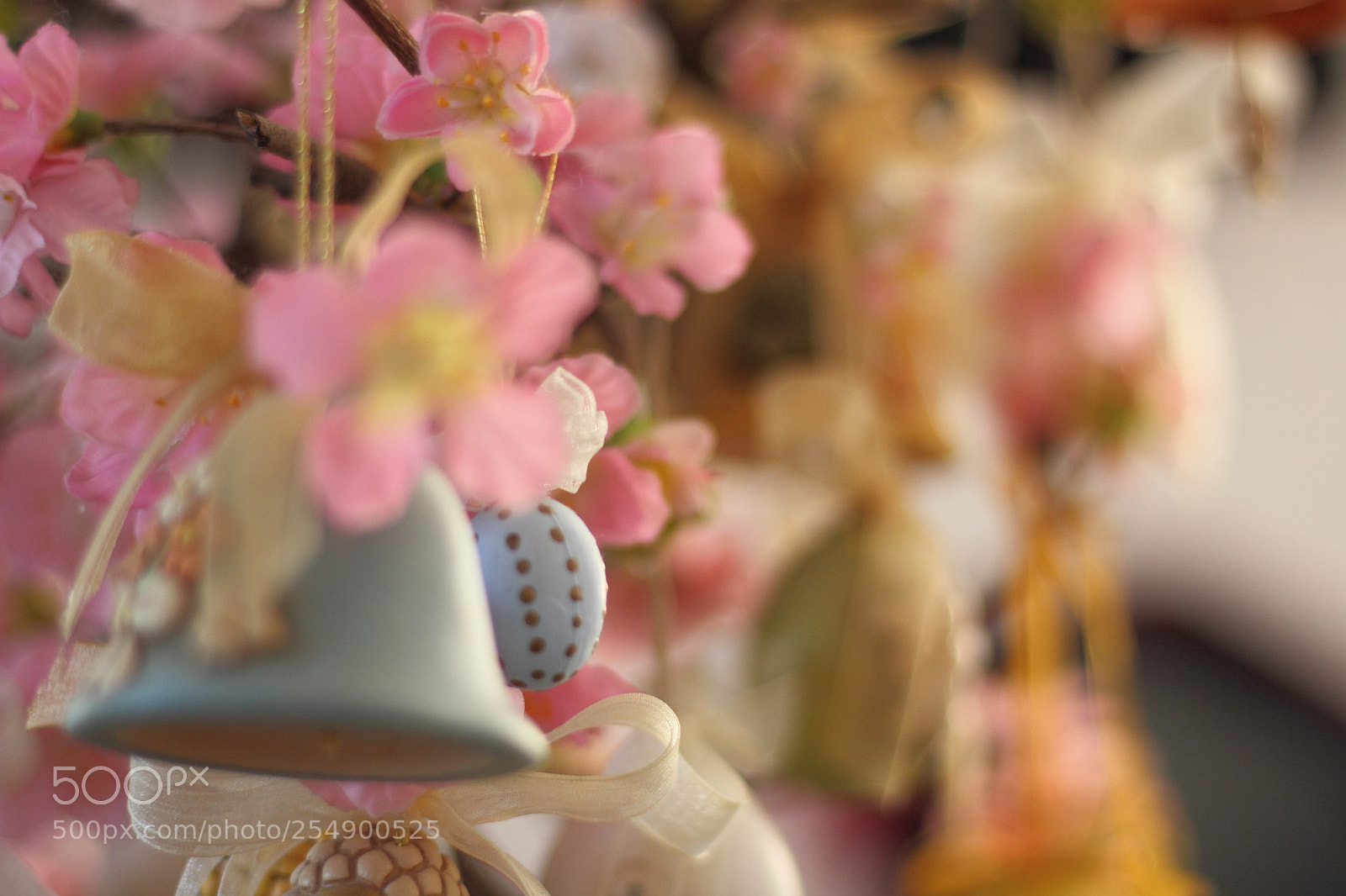 Canon EOS 60D + Canon EF 50mm F1.8 STM sample photo. 017.jpg photography