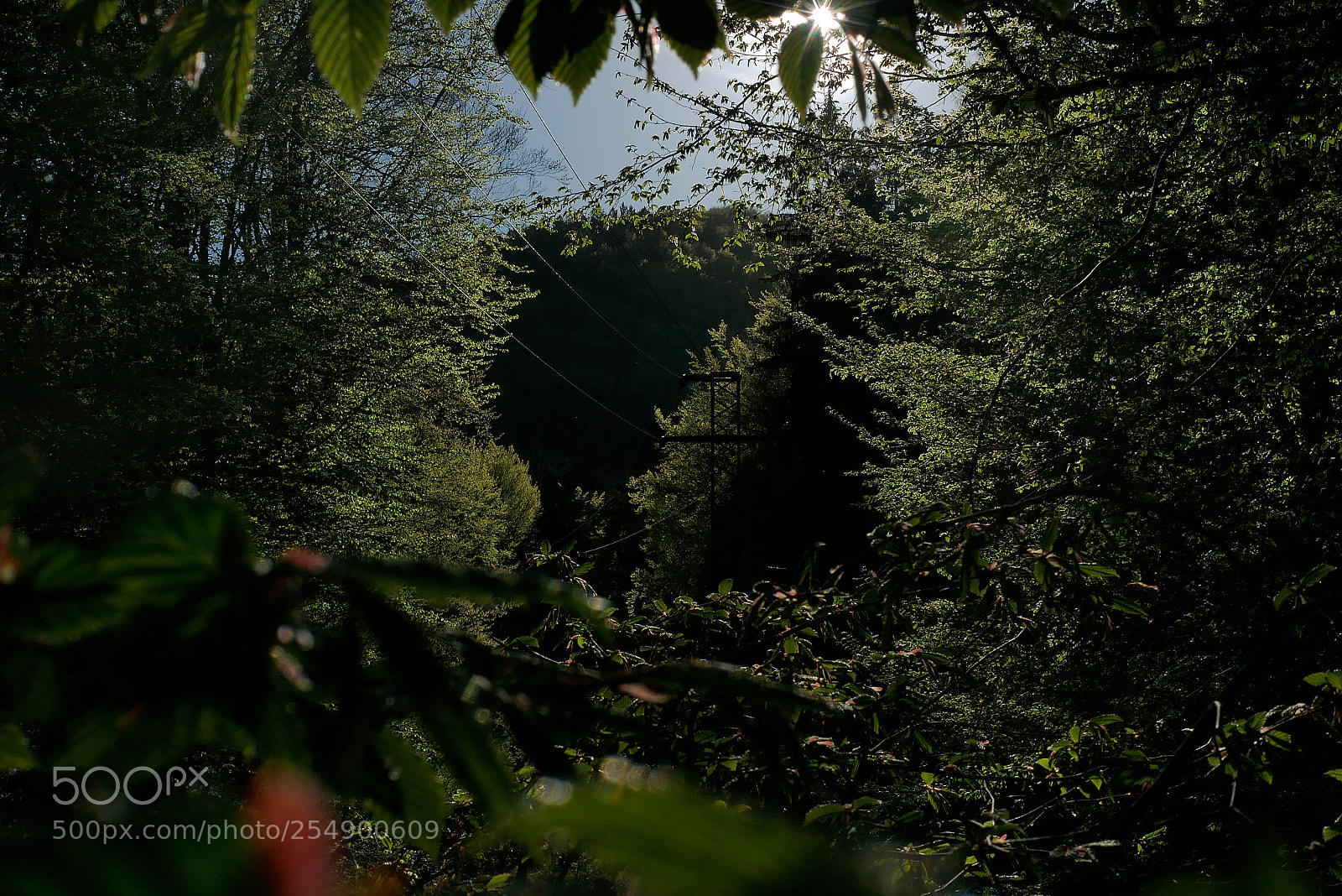 Panasonic Lumix DMC-G7 sample photo. Untitled photography