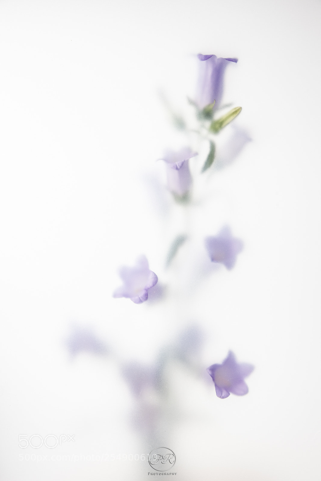 Canon EOS 5D Mark II sample photo. Untitled photography