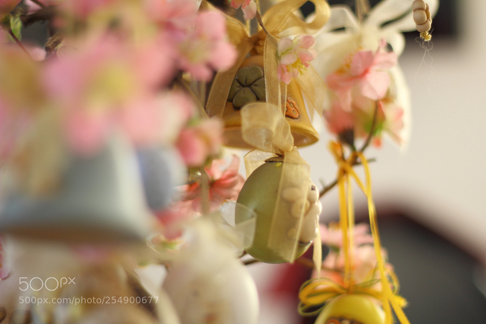 Canon EOS 60D + Canon EF 50mm F1.8 STM sample photo. 020.jpg photography