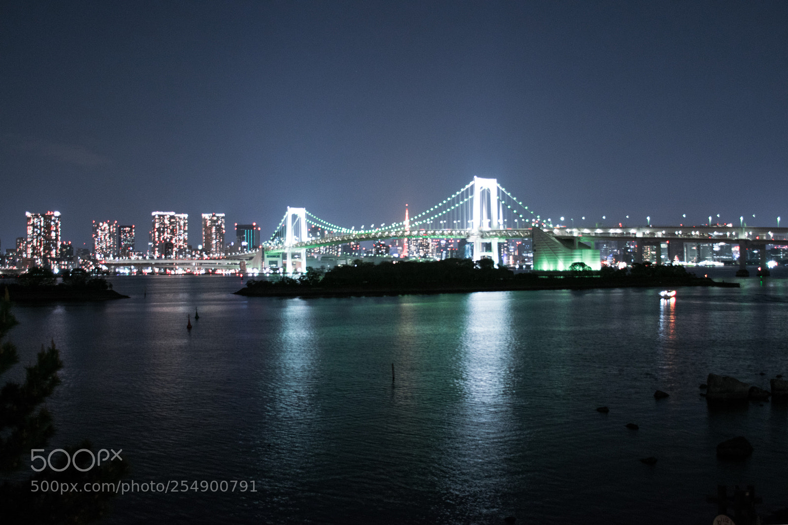 Nikon D5300 sample photo. Cityscape tokyo photography