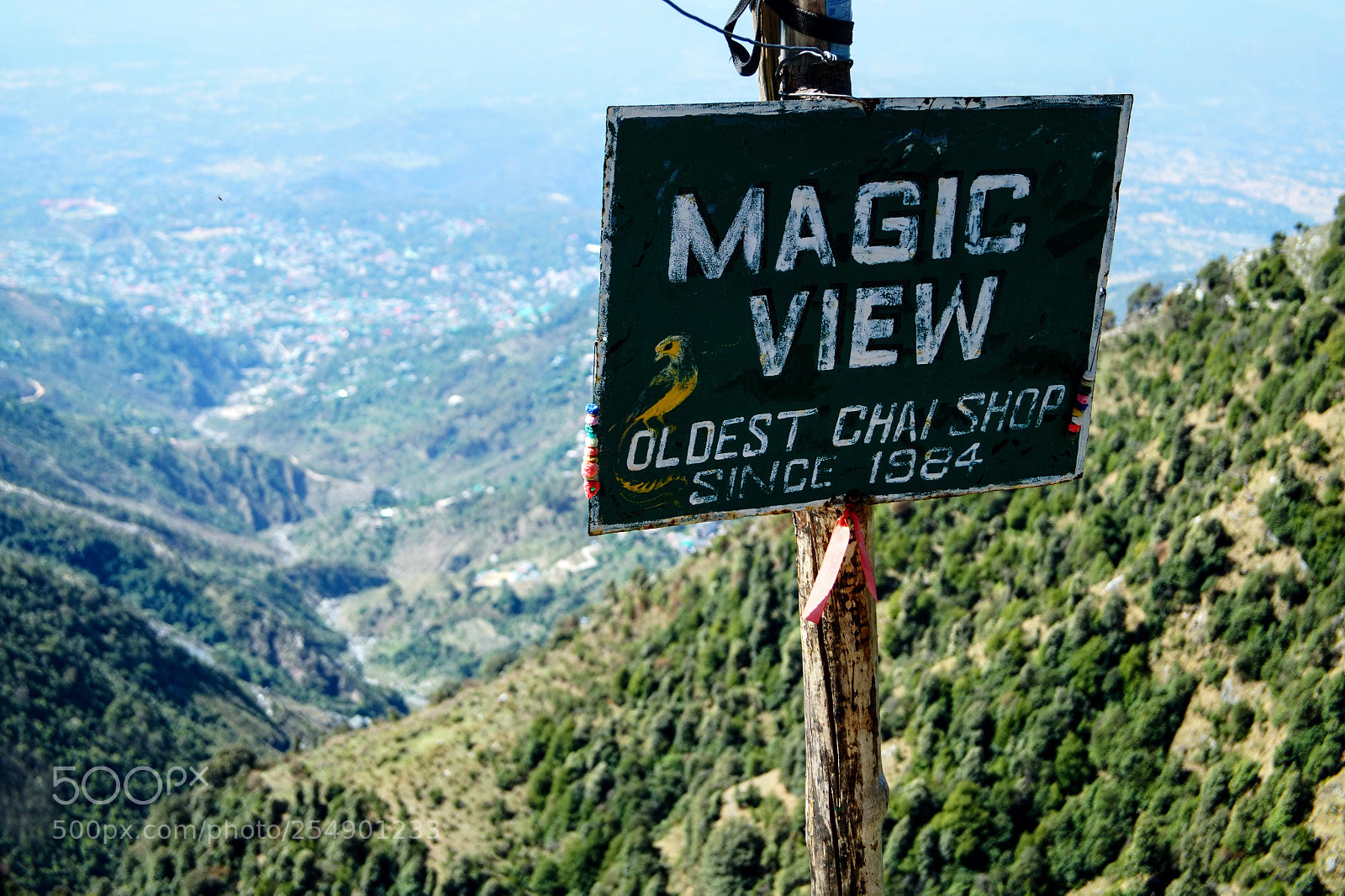 Sony SLT-A58 sample photo. Halfway of triund trek  photography