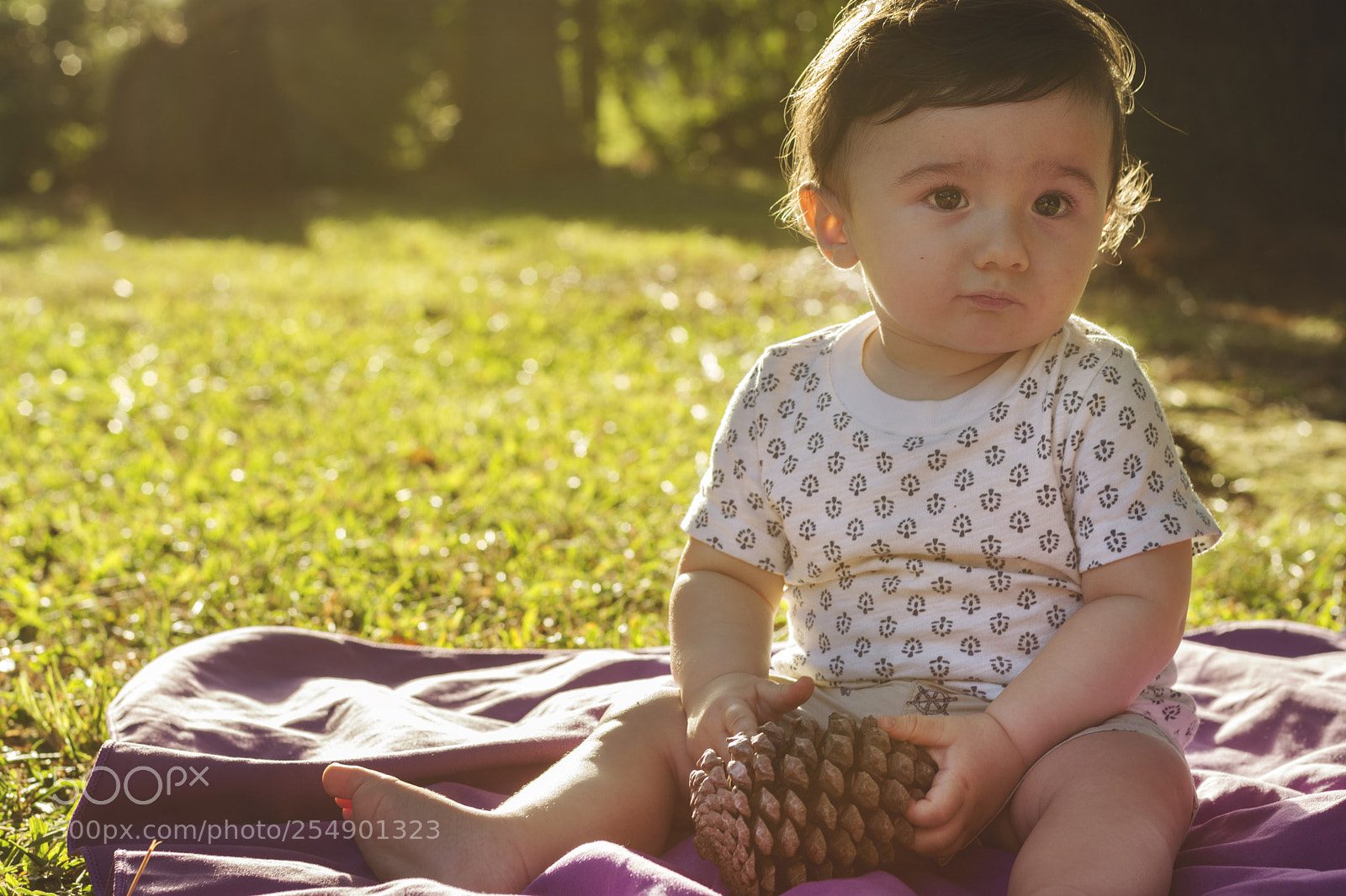 Nikon D7200 sample photo. Love photography