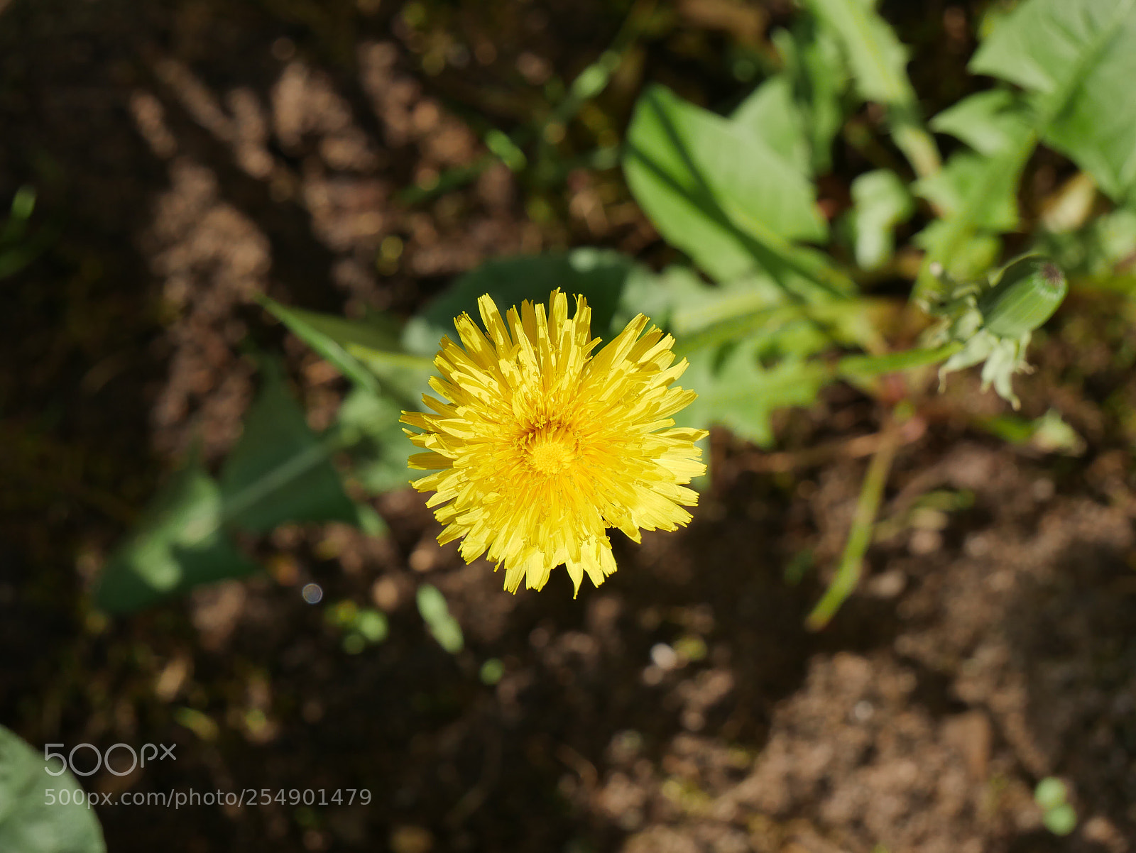 Panasonic DMC-G70 sample photo. Untitled photography