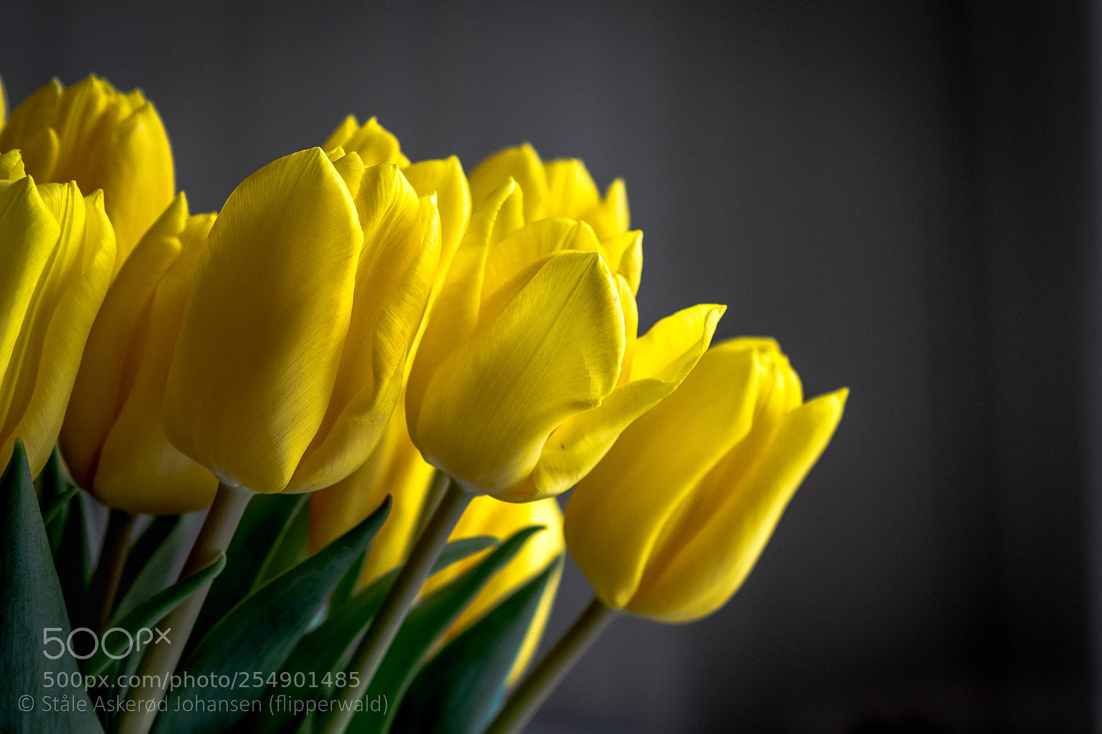 Canon EOS 7D Mark II sample photo. Economy photography