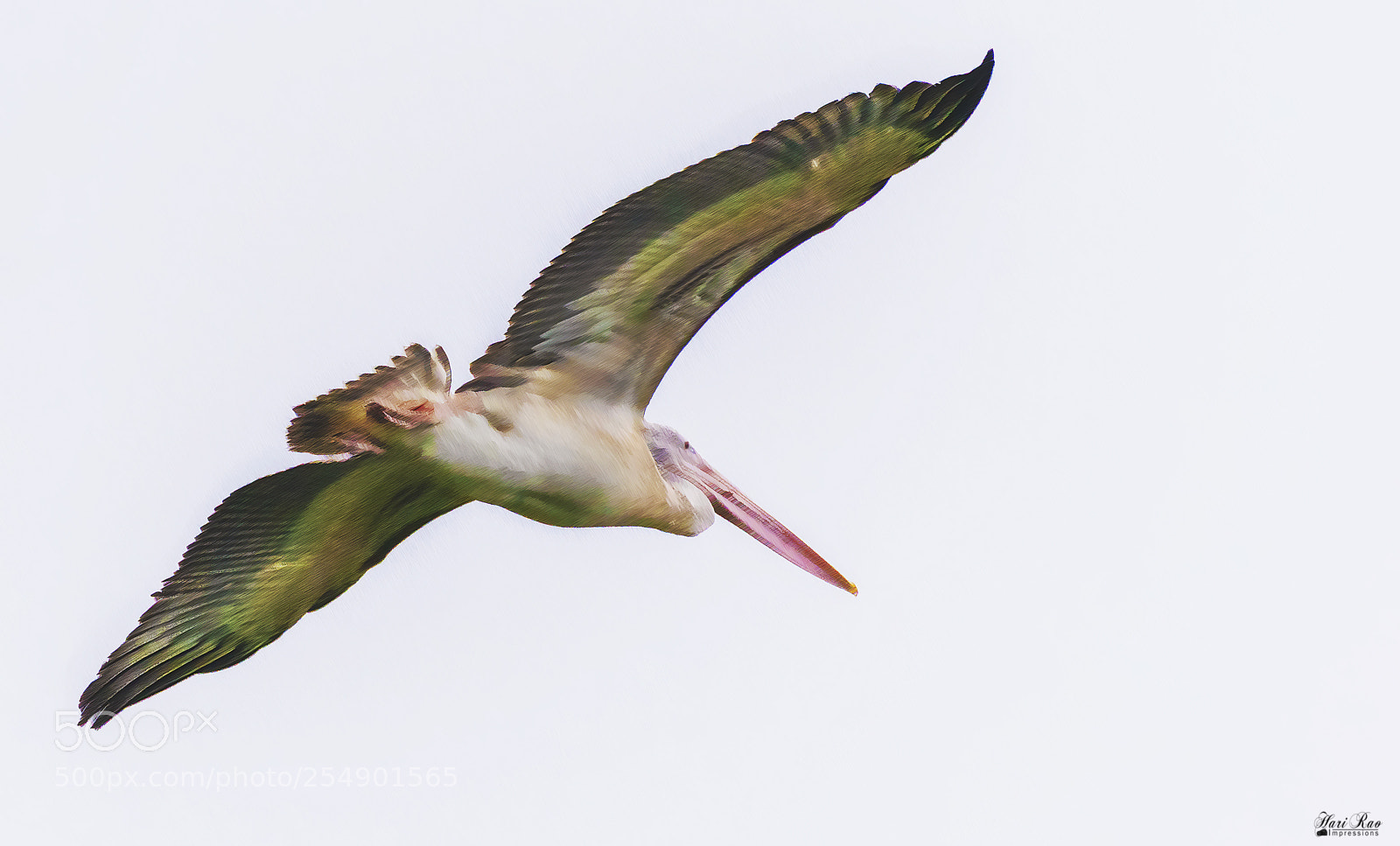 Nikon D810 sample photo. In flight.. photography