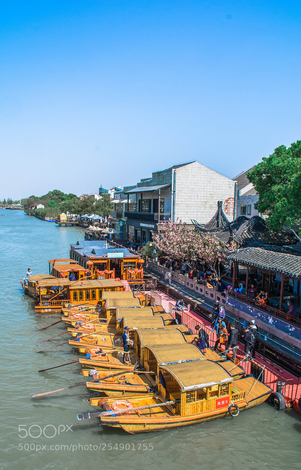 Nikon D7100 sample photo. Zhujiajiao,shanghai,china  photography