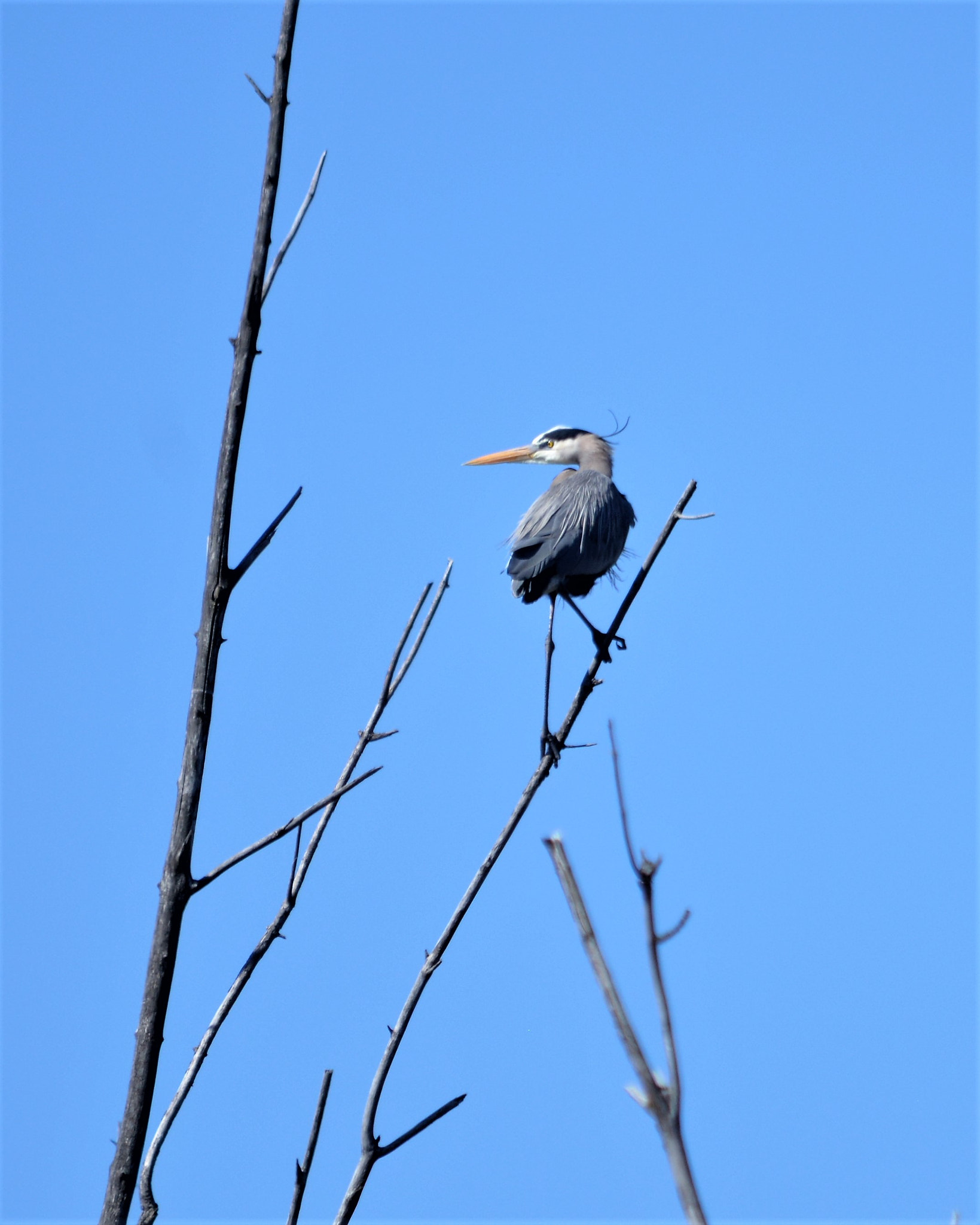 Nikon D7100 sample photo. On watch photography
