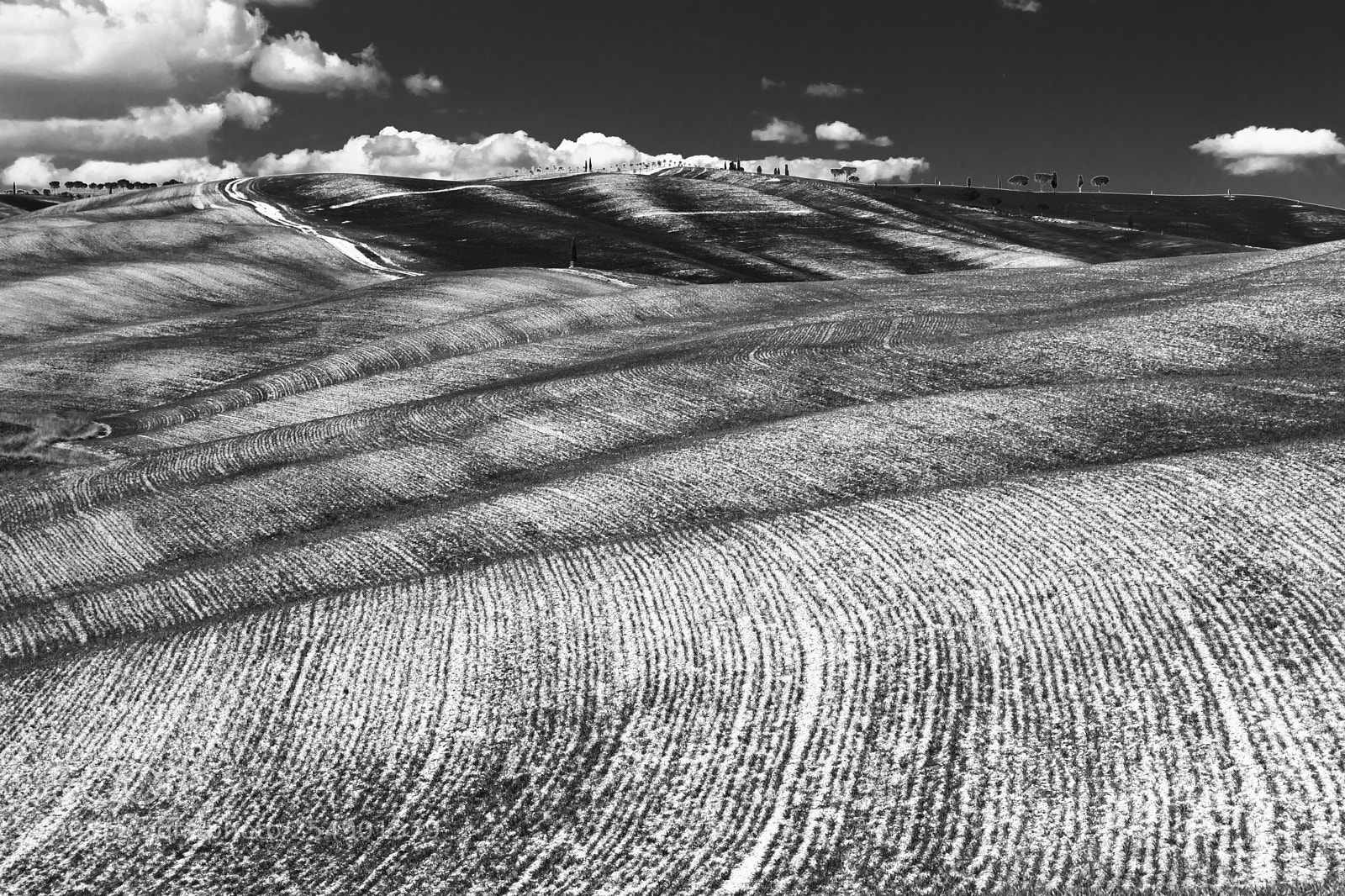 Canon EOS 5D Mark IV sample photo. Tuscany fields photography